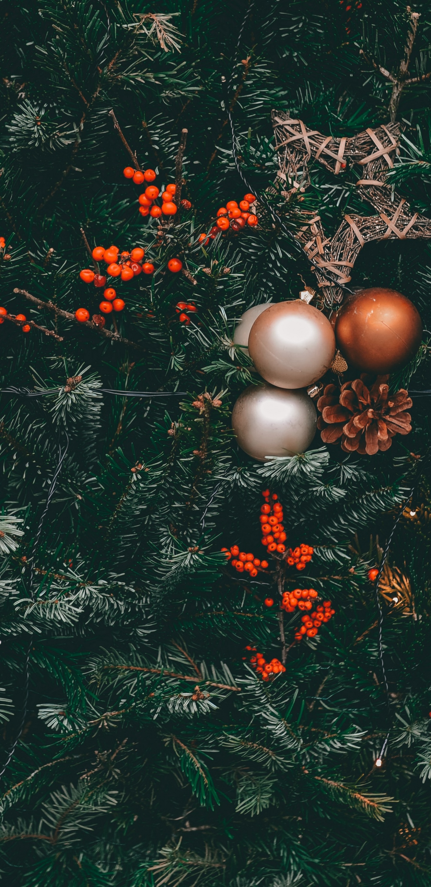 Boules D'or Sur le Pin Vert. Wallpaper in 1440x2960 Resolution