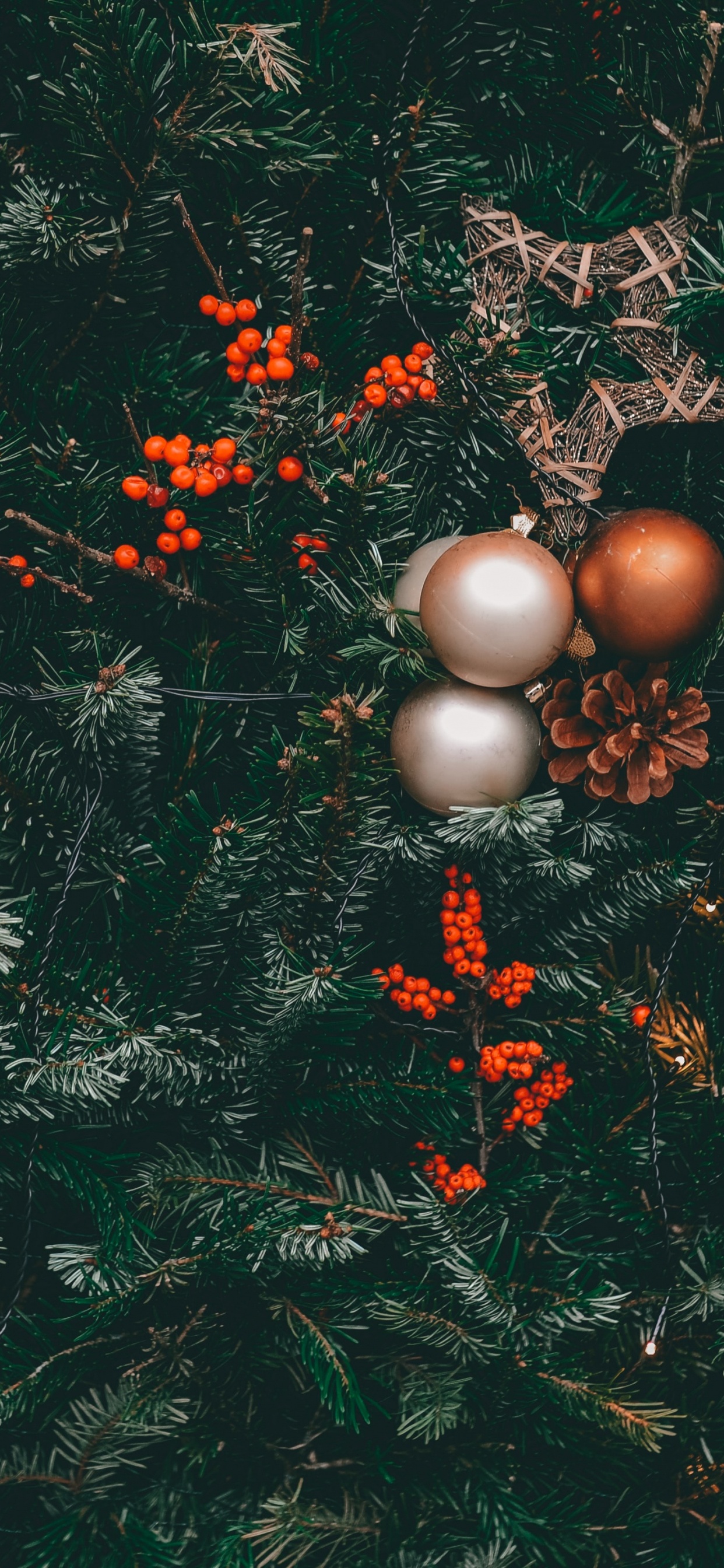 Goldene Kugeln Auf Grünem Kiefernbaum. Wallpaper in 1242x2688 Resolution