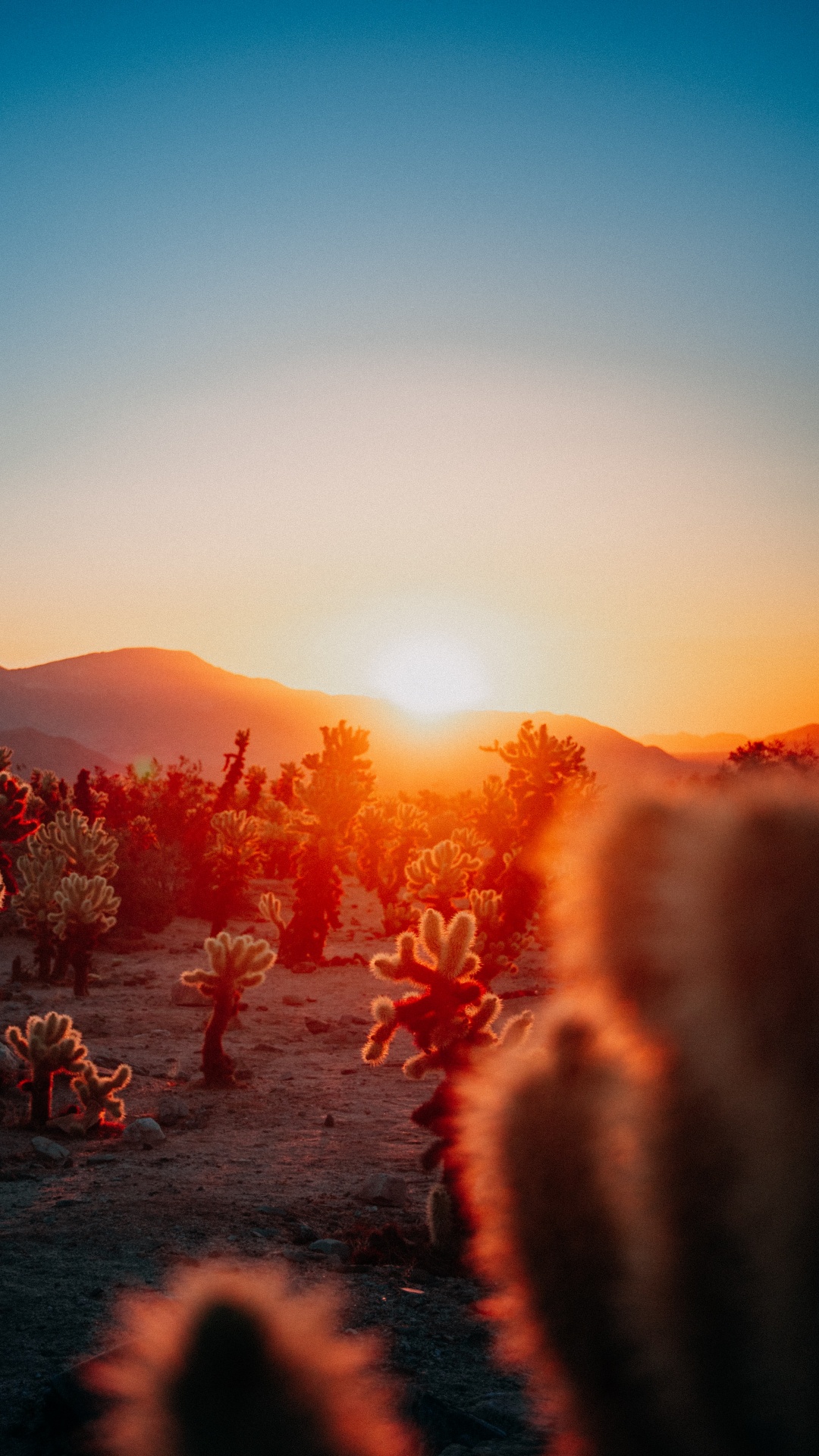 Sunset Aesthetic Calendars, Calendar, Published, Afterglow, Astronomical Object. Wallpaper in 1080x1920 Resolution