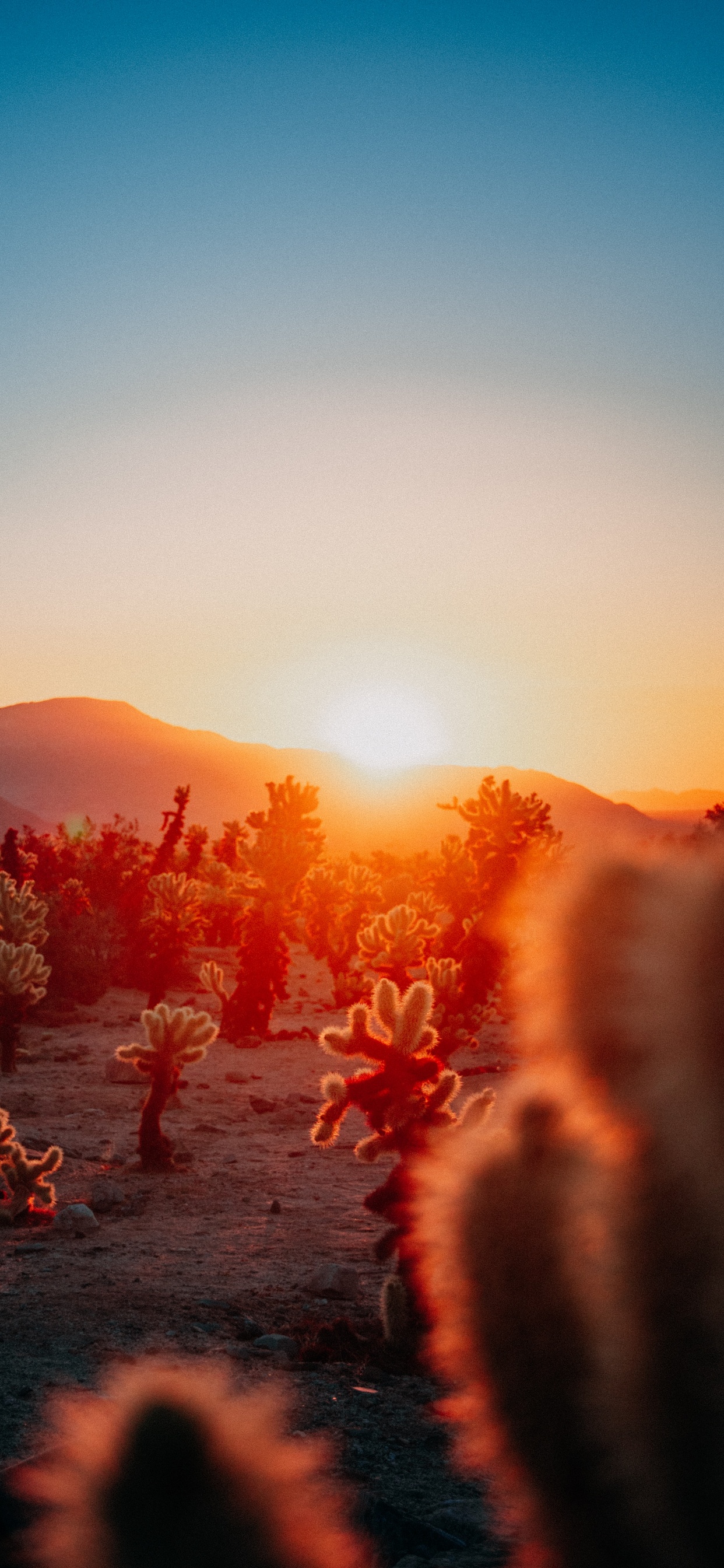 Sunset Aesthetic Calendars, Calendar, Published, Afterglow, Astronomical Object. Wallpaper in 1242x2688 Resolution