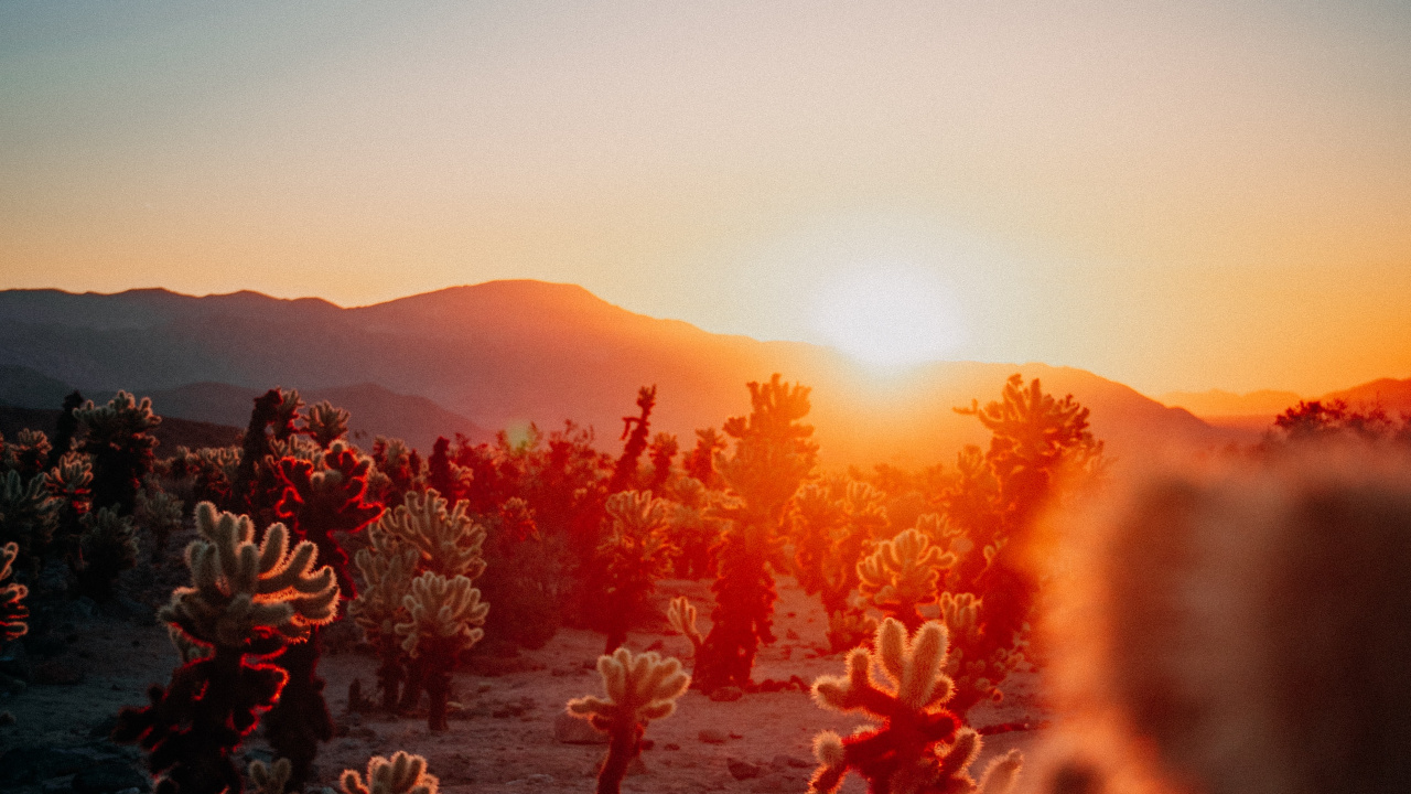 Sunset Aesthetic Calendars, Calendar, Published, Afterglow, Astronomical Object. Wallpaper in 1280x720 Resolution