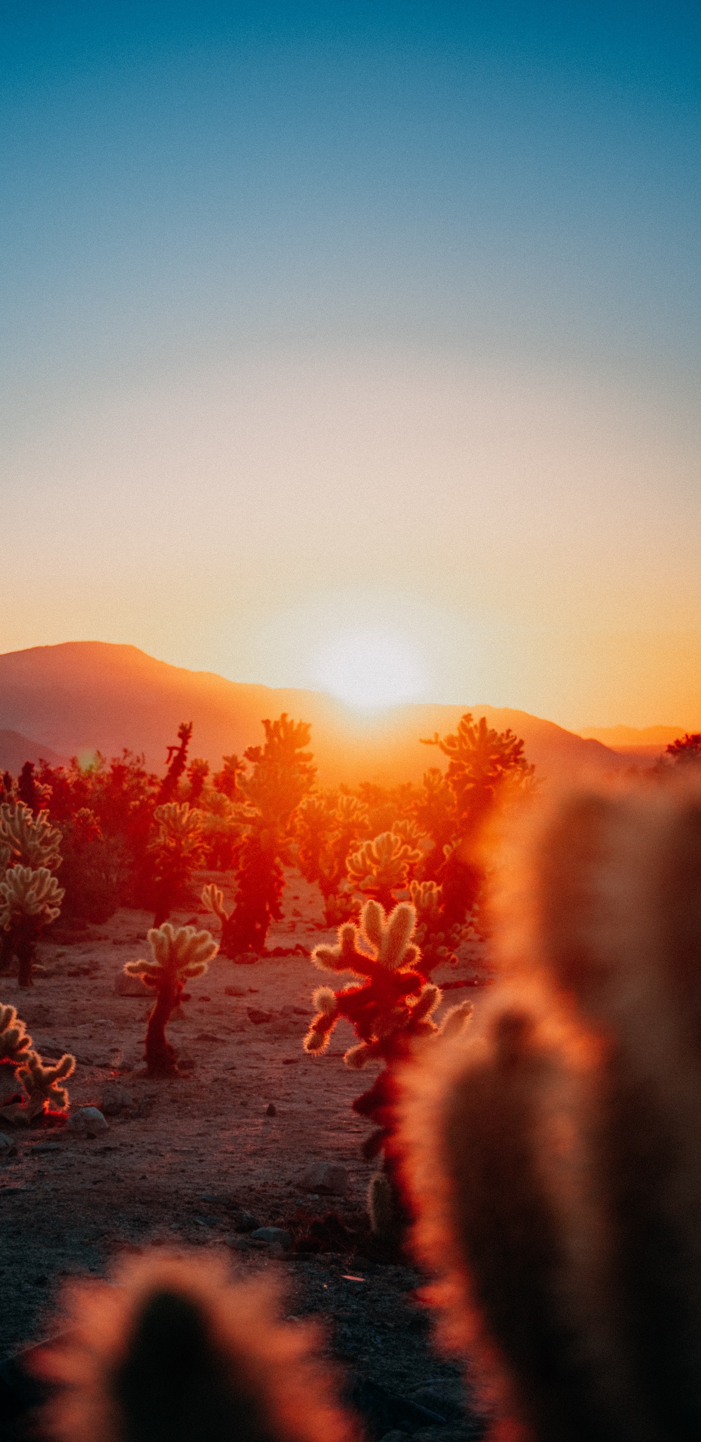 Sunset Aesthetic Calendars, Calendar, Published, Afterglow, Astronomical Object. Wallpaper in 1440x2960 Resolution