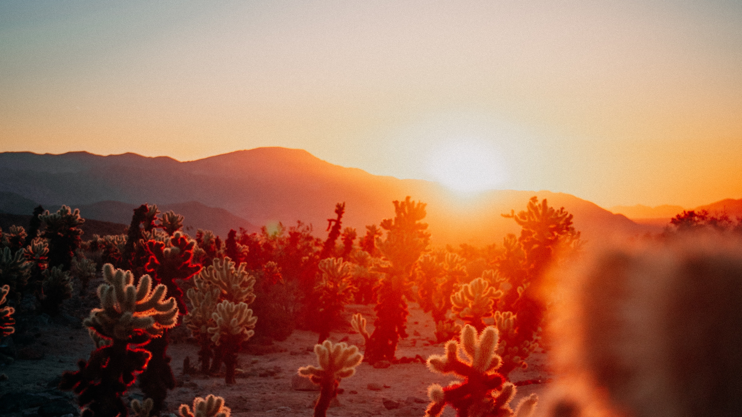 Sunset Aesthetic Calendars, Calendar, Published, Afterglow, Astronomical Object. Wallpaper in 2560x1440 Resolution