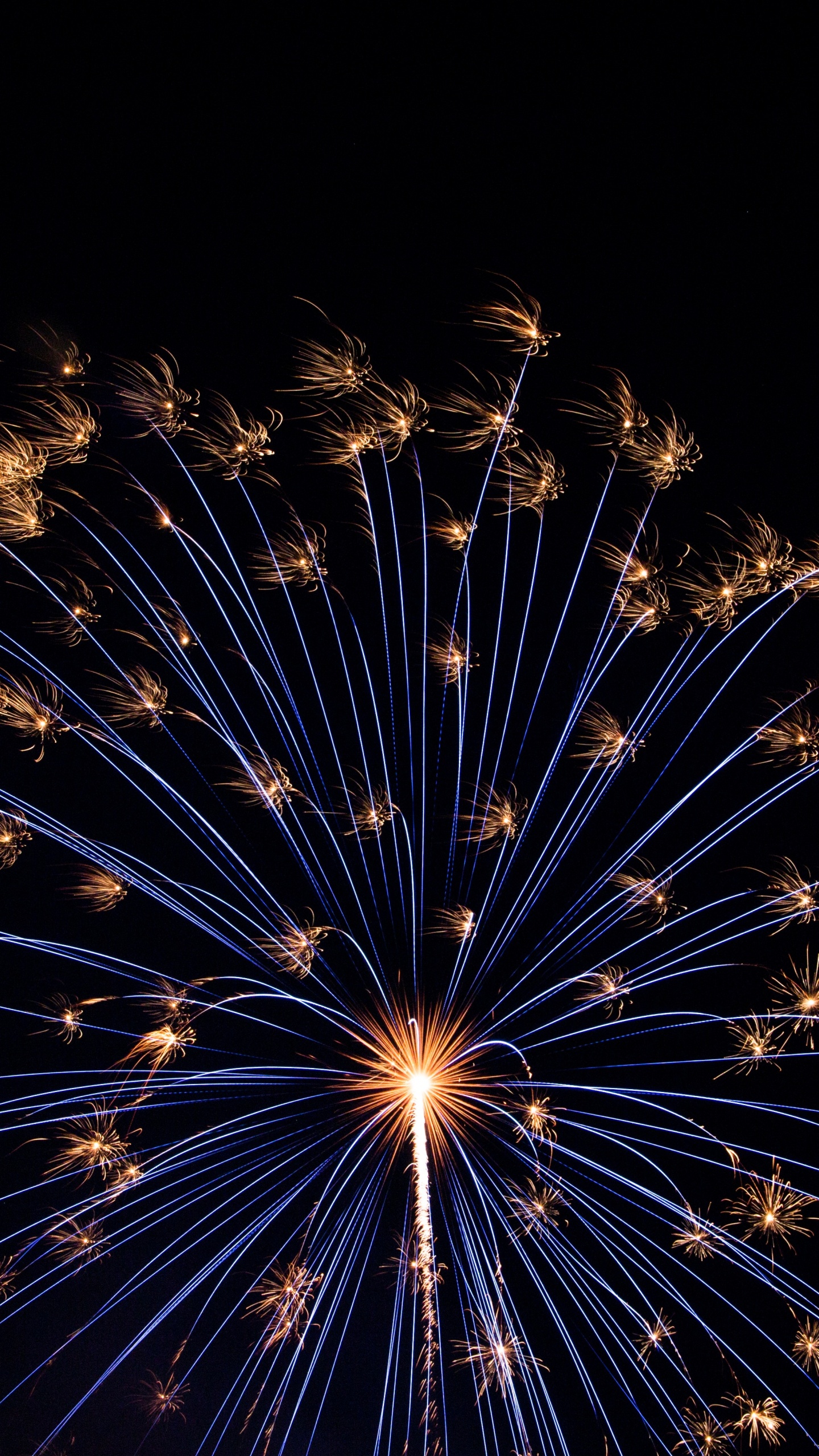 New Year, Fireworks, Darkness, New Years Day, Night. Wallpaper in 1440x2560 Resolution