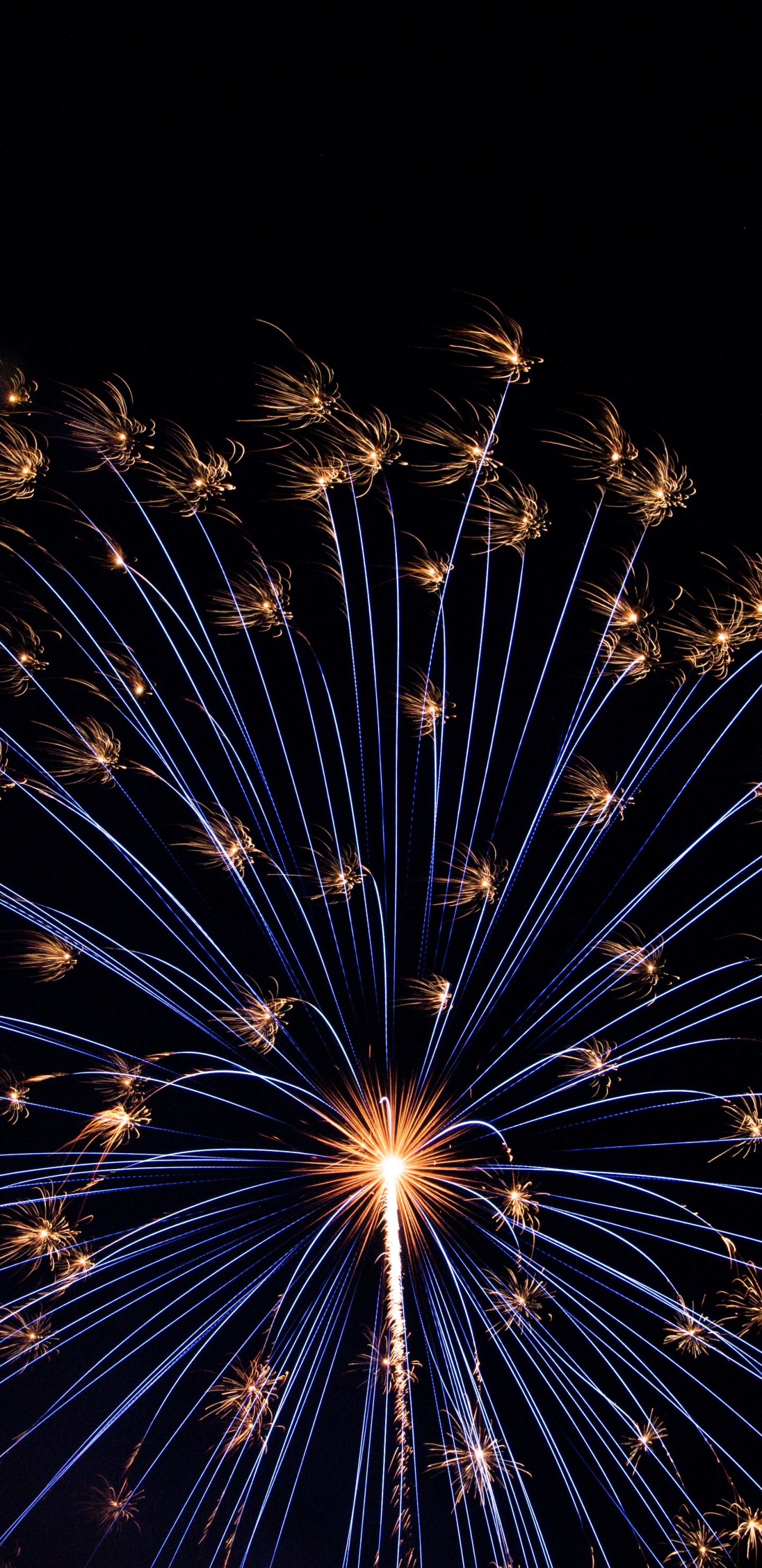 New Year, Fireworks, Darkness, New Years Day, Night. Wallpaper in 1440x2960 Resolution