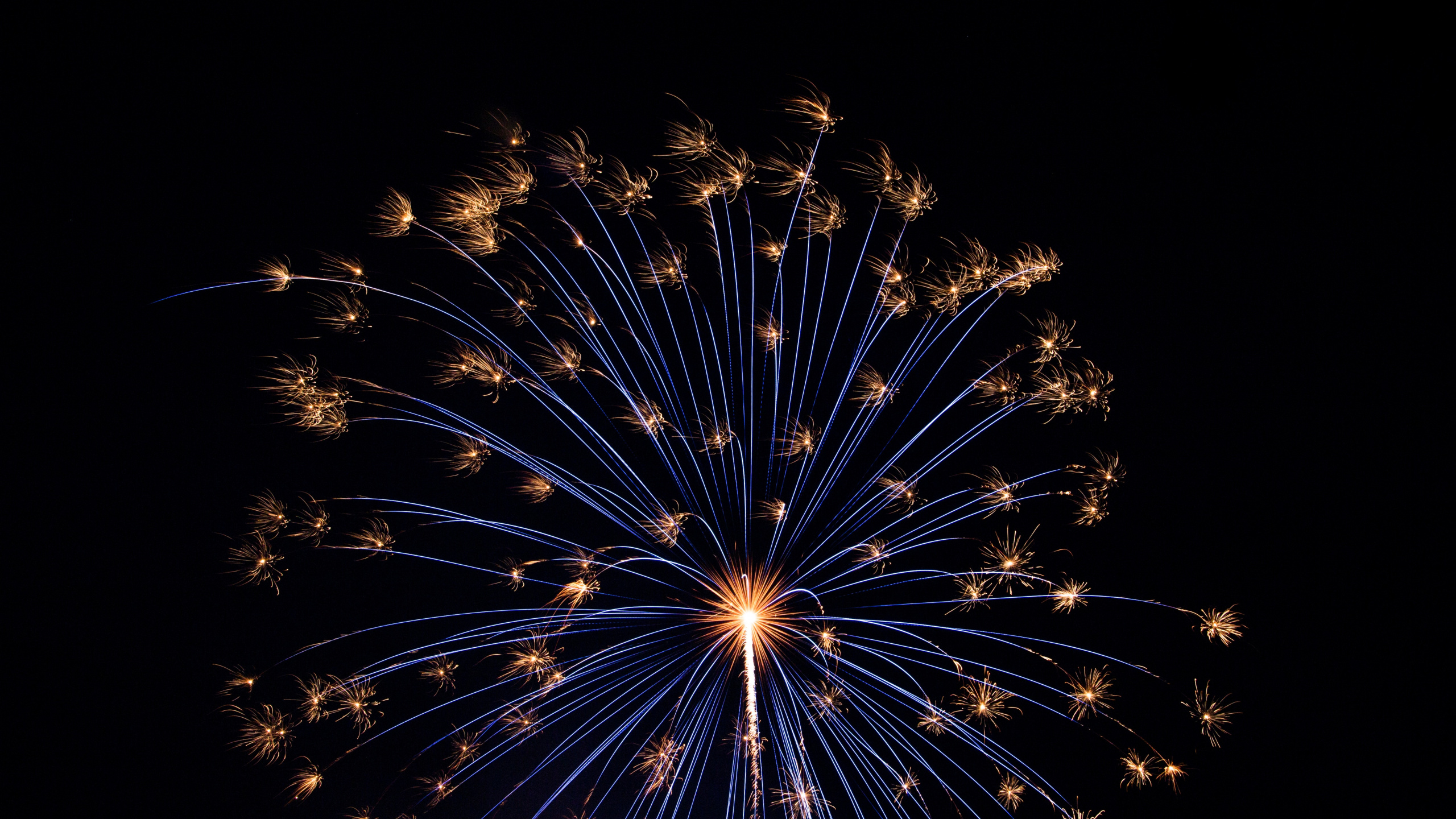 New Year, Fireworks, Darkness, New Years Day, Night. Wallpaper in 2560x1440 Resolution