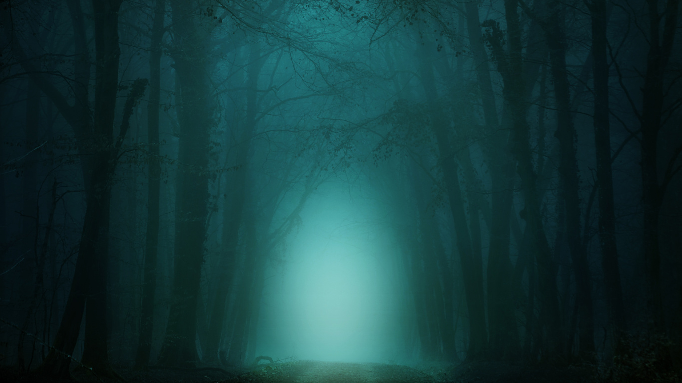 Obscurité, Nuit, Green, Nature, Blue. Wallpaper in 1366x768 Resolution