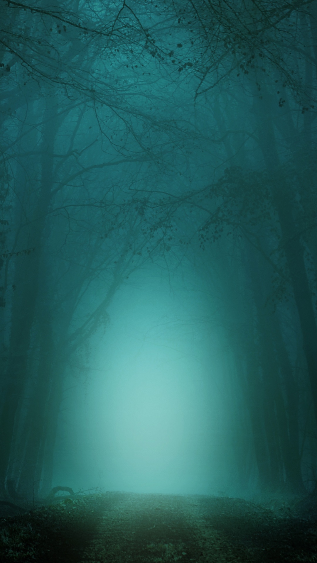 Darkness, Night, Green, Nature, Blue. Wallpaper in 1080x1920 Resolution