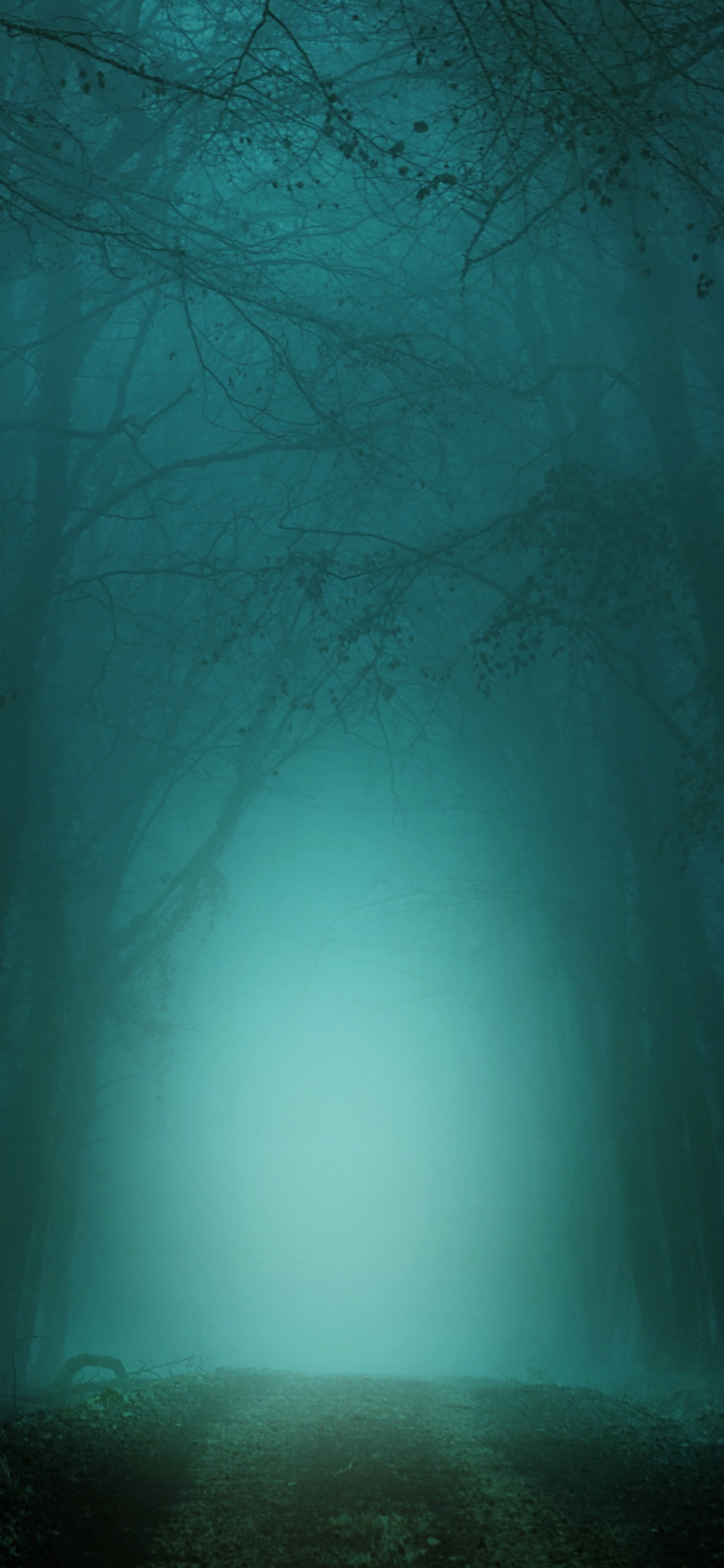 Darkness, Night, Green, Nature, Blue. Wallpaper in 1125x2436 Resolution