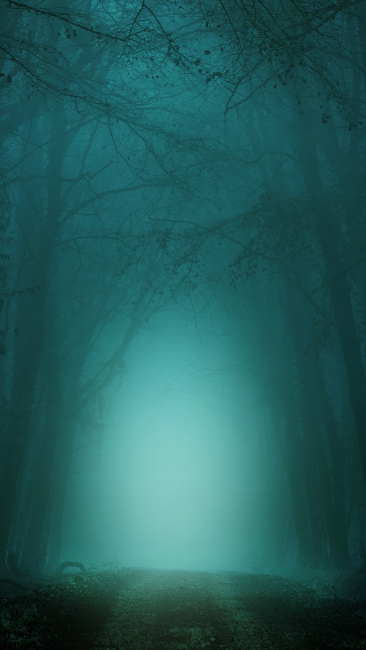 Darkness, Night, Green, Nature, Blue. Wallpaper in 720x1280 Resolution