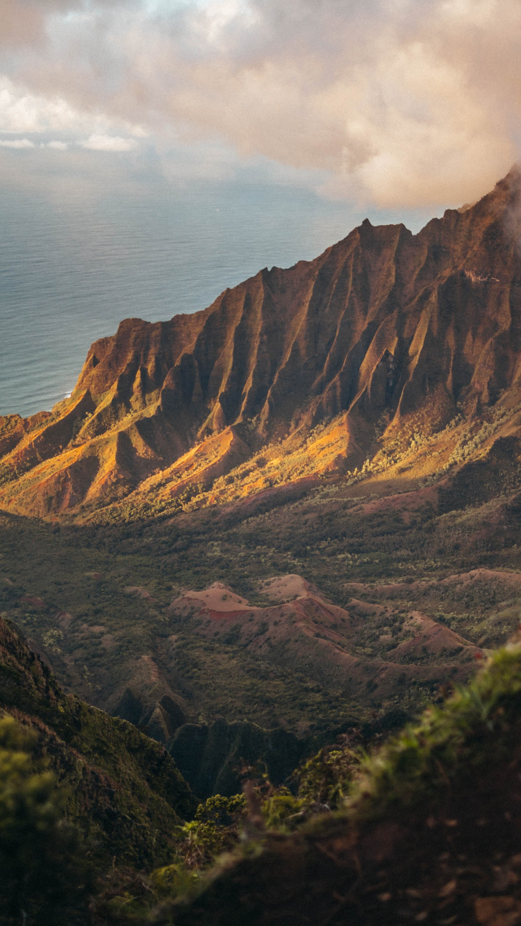 2020, Juillet, Août, Plante de la Communauté, Paysage Naturel. Wallpaper in 750x1334 Resolution