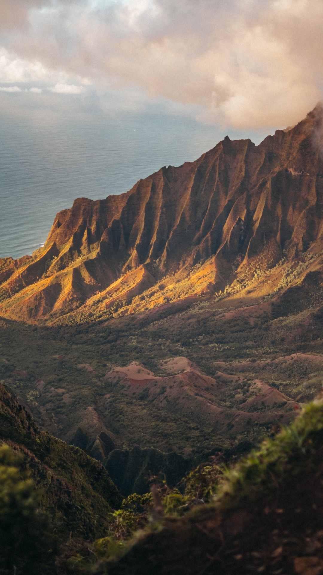 2020, Julio, Agosto, la Comunidad Vegetal, Montaña. Wallpaper in 1080x1920 Resolution