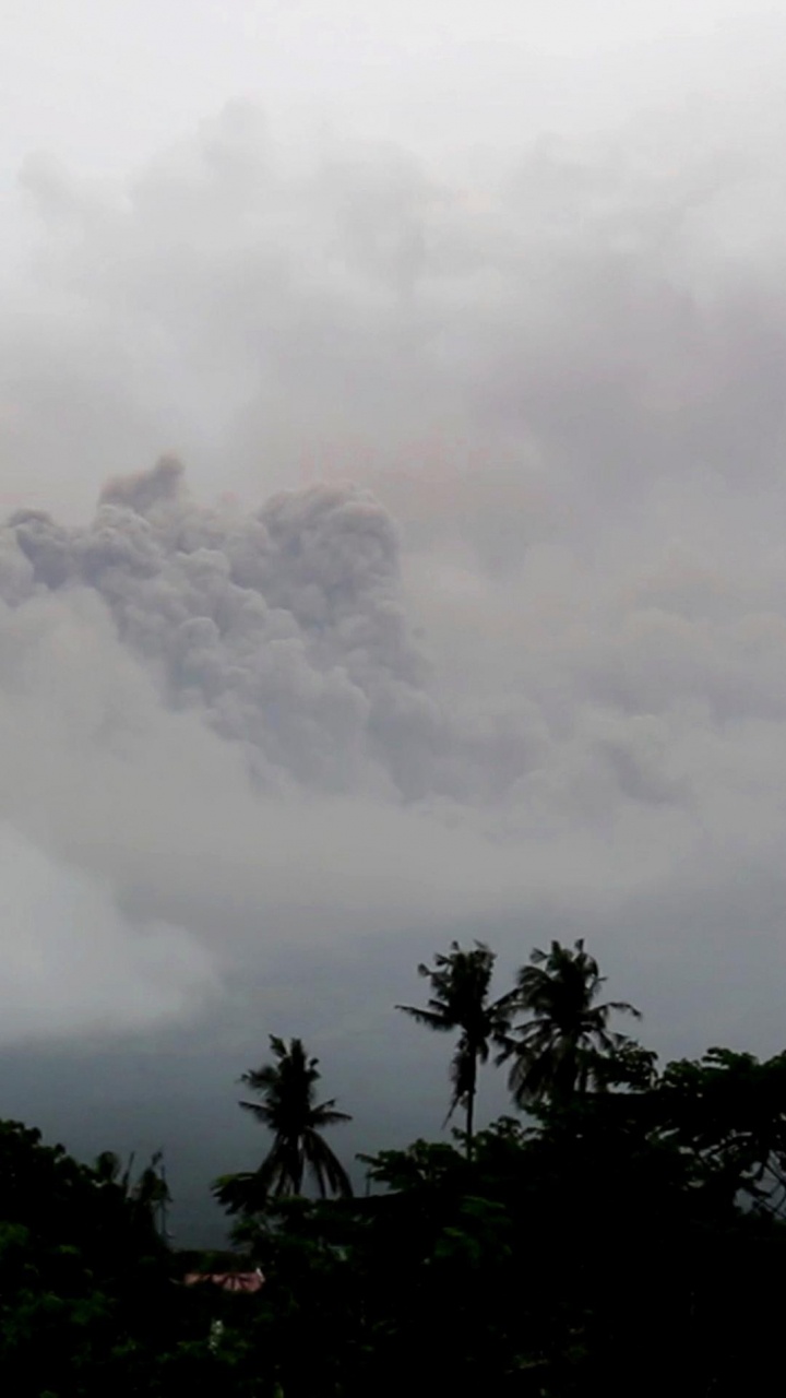 Tagsüber Grüne Bäume Unter Weißen Wolken. Wallpaper in 720x1280 Resolution