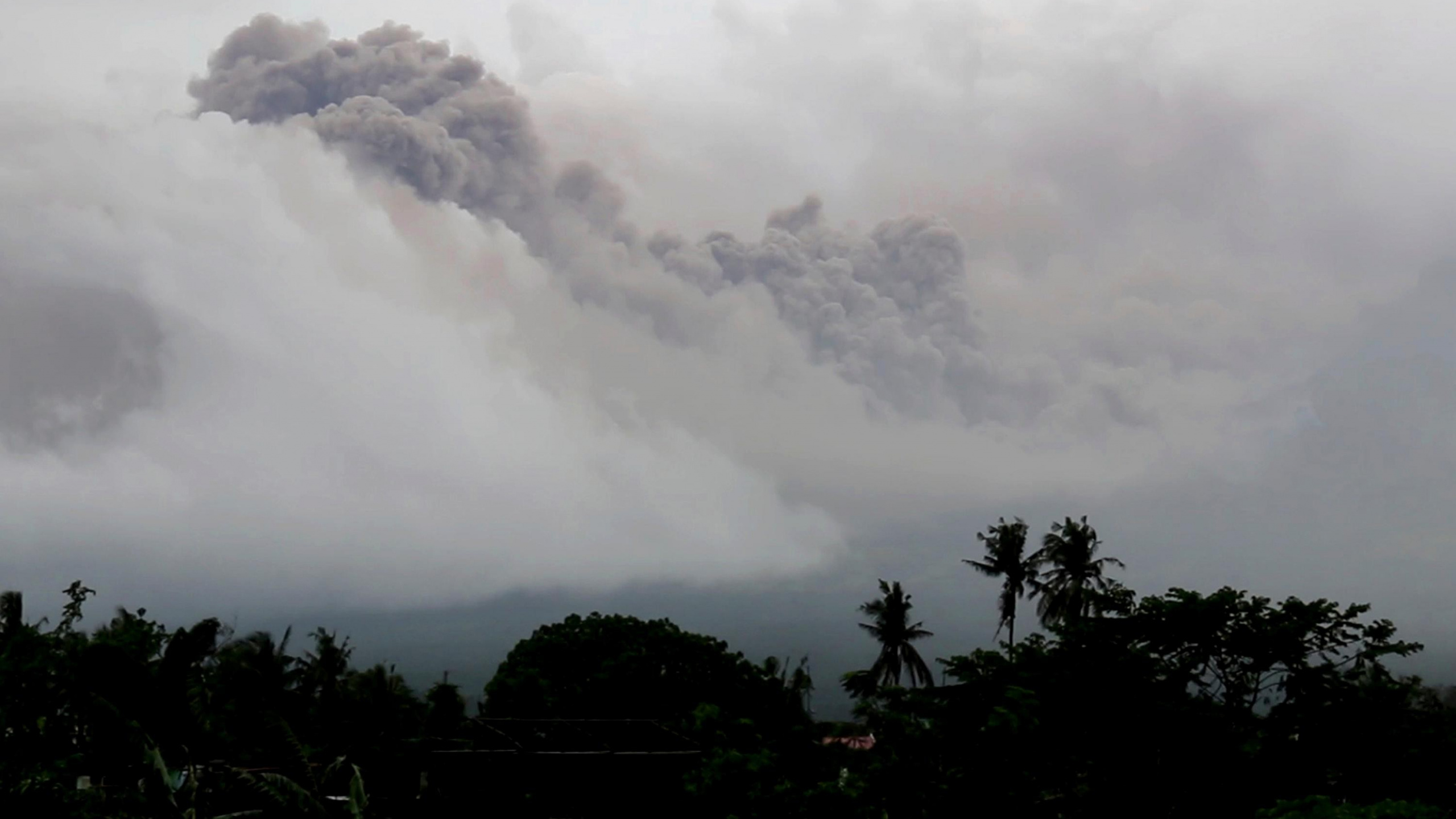 Arbres Verts Sous Des Nuages Blancs Pendant la Journée. Wallpaper in 2560x1440 Resolution