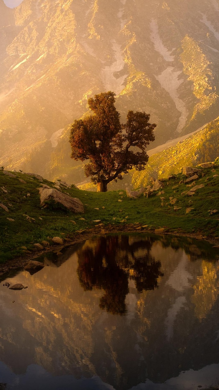 Naturporträt, Natur, Soundcloud, Portrait, Wasser. Wallpaper in 720x1280 Resolution