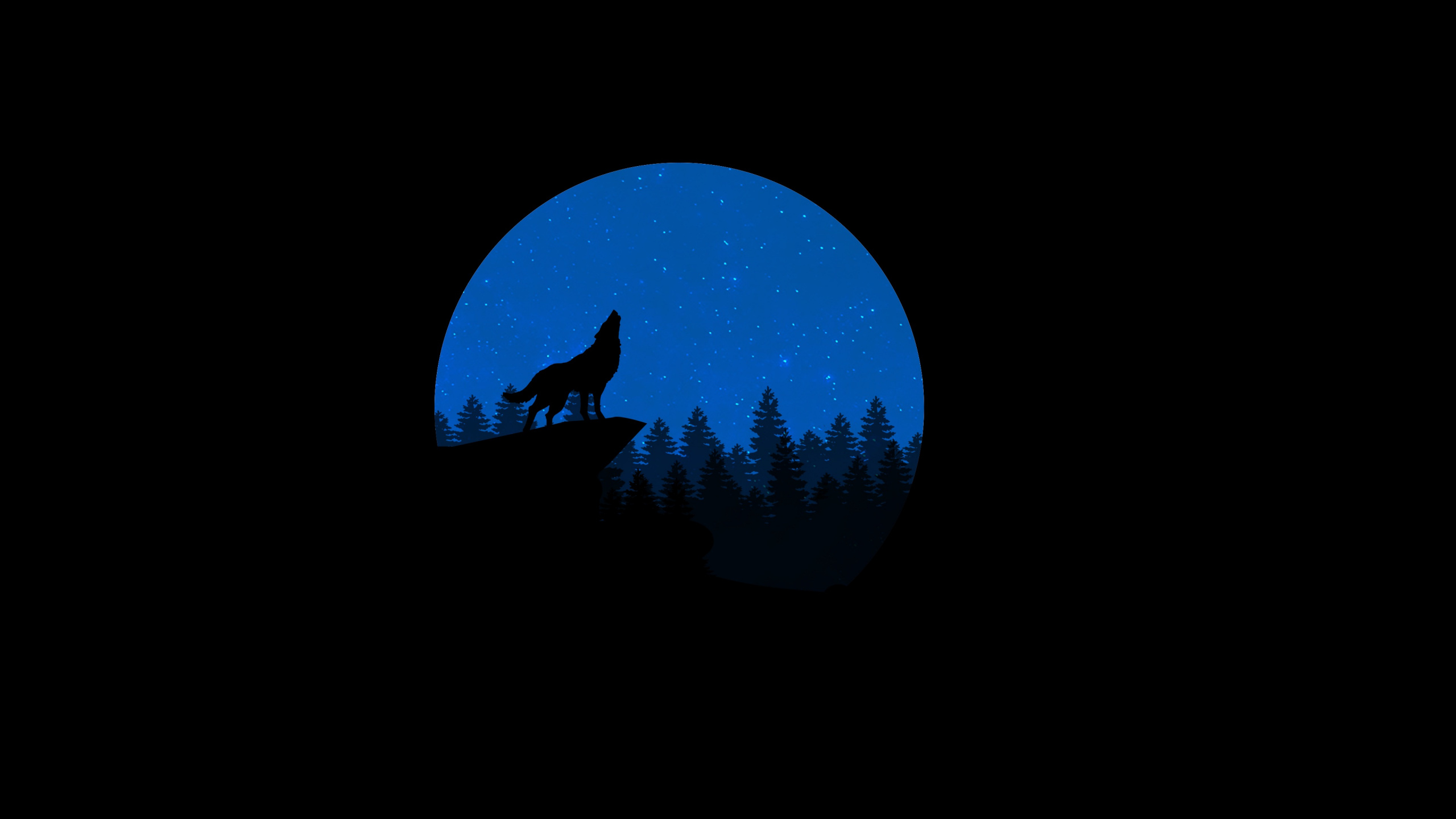 Silhouette Einer Person, Die Unter Blauem Mond Steht. Wallpaper in 2560x1440 Resolution