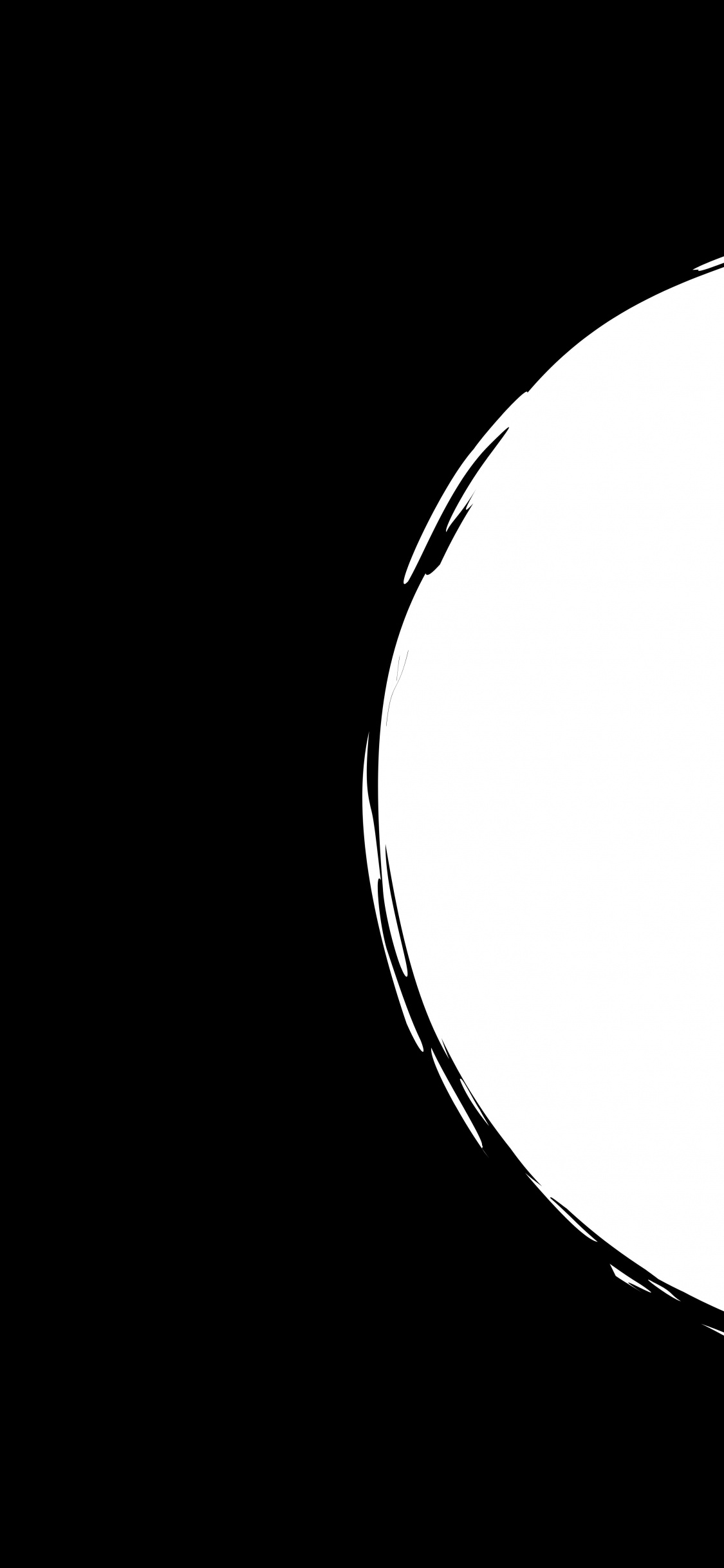 Ilustración Redonda en Blanco y Negro. Wallpaper in 1125x2436 Resolution