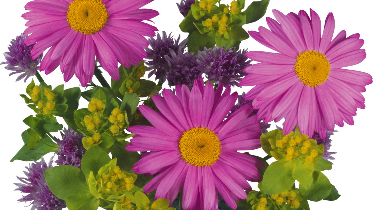 Pink and Yellow Flower Bouquet. Wallpaper in 1280x720 Resolution