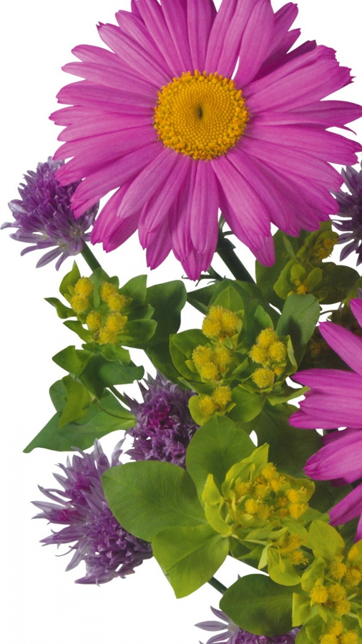 Pink and Yellow Flower Bouquet. Wallpaper in 720x1280 Resolution