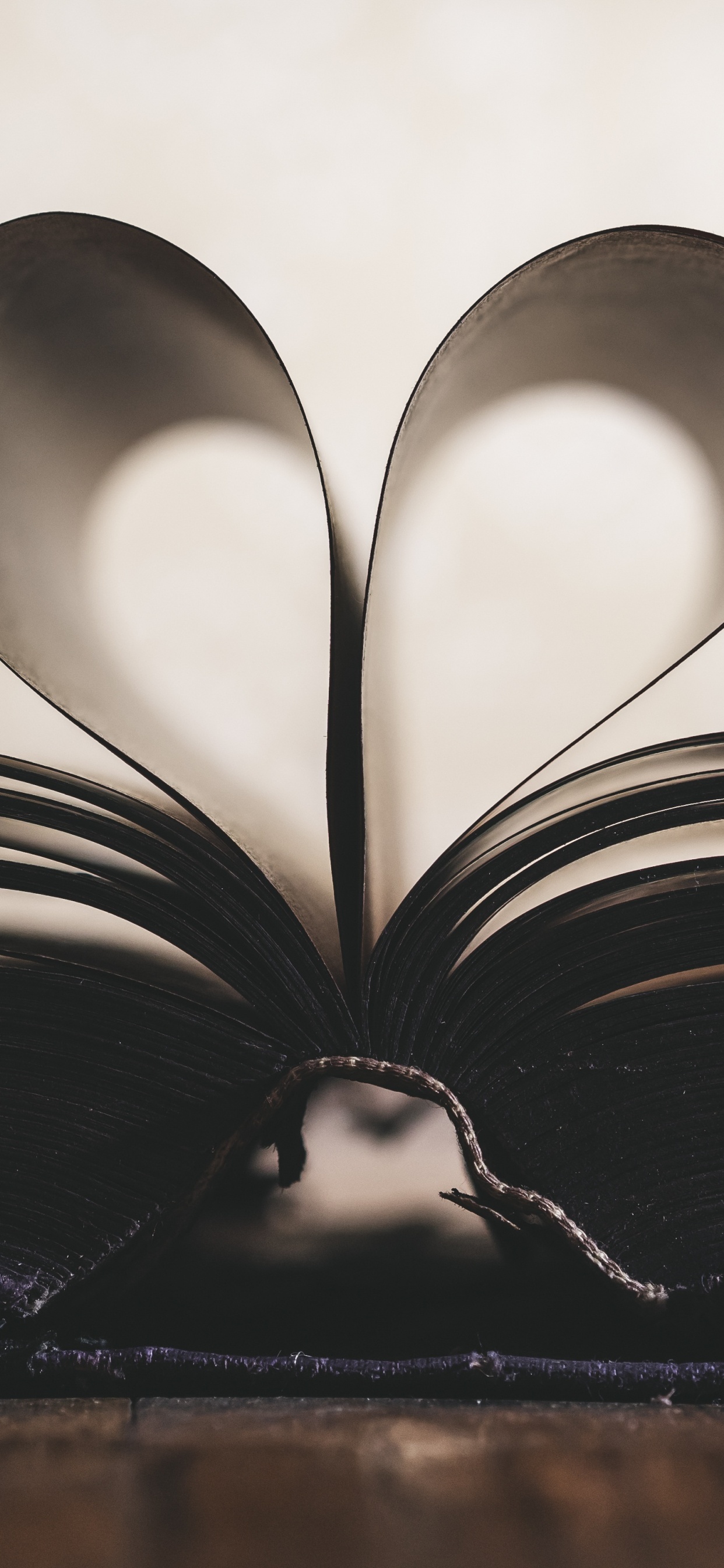 Romance, Black, White, Love, Monochrome. Wallpaper in 1242x2688 Resolution