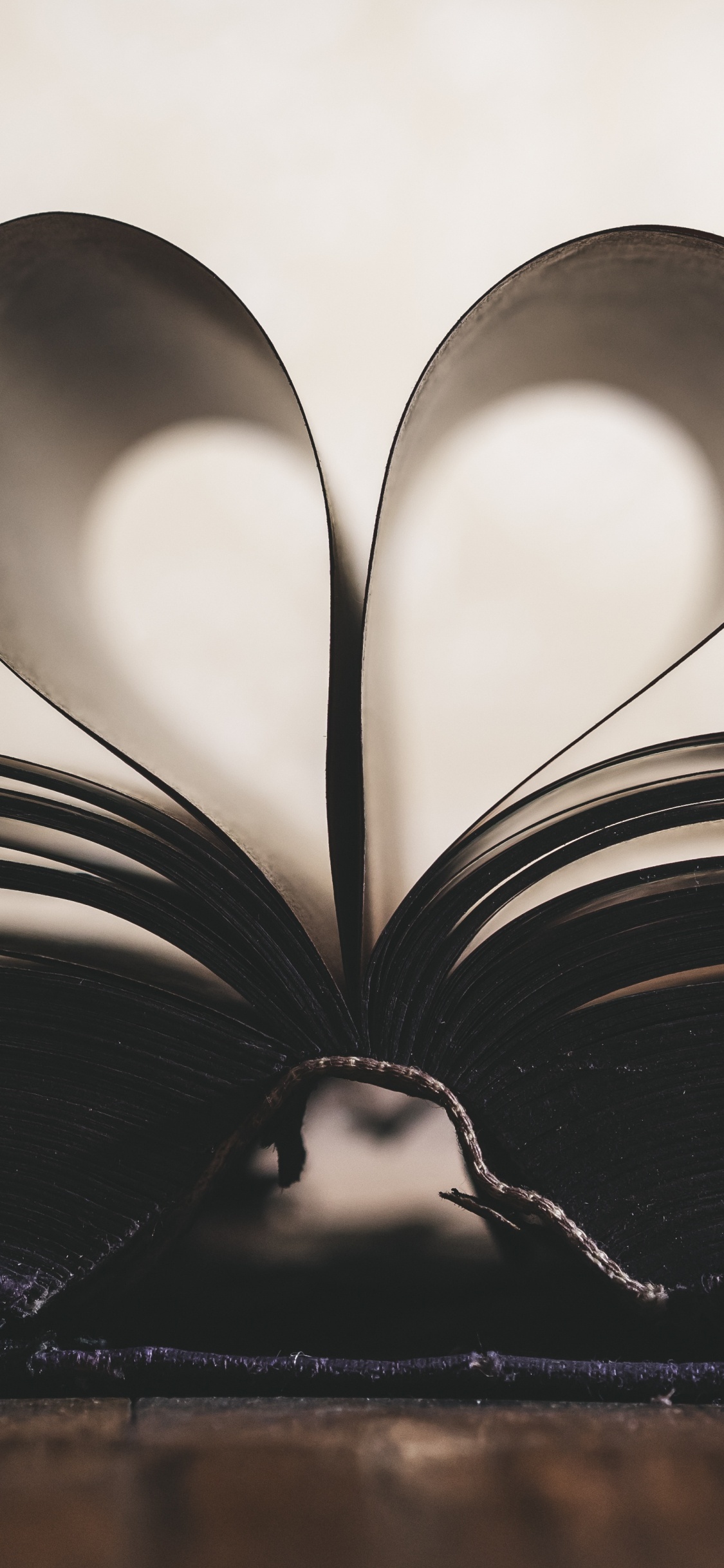 Romanticismo, Negro, Blanco, Amor, Monocromo. Wallpaper in 1125x2436 Resolution