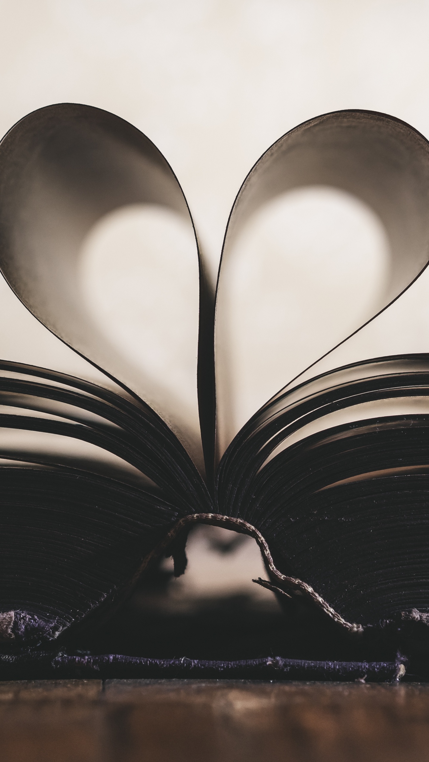 Romanticismo, Negro, Blanco, Amor, Monocromo. Wallpaper in 1440x2560 Resolution