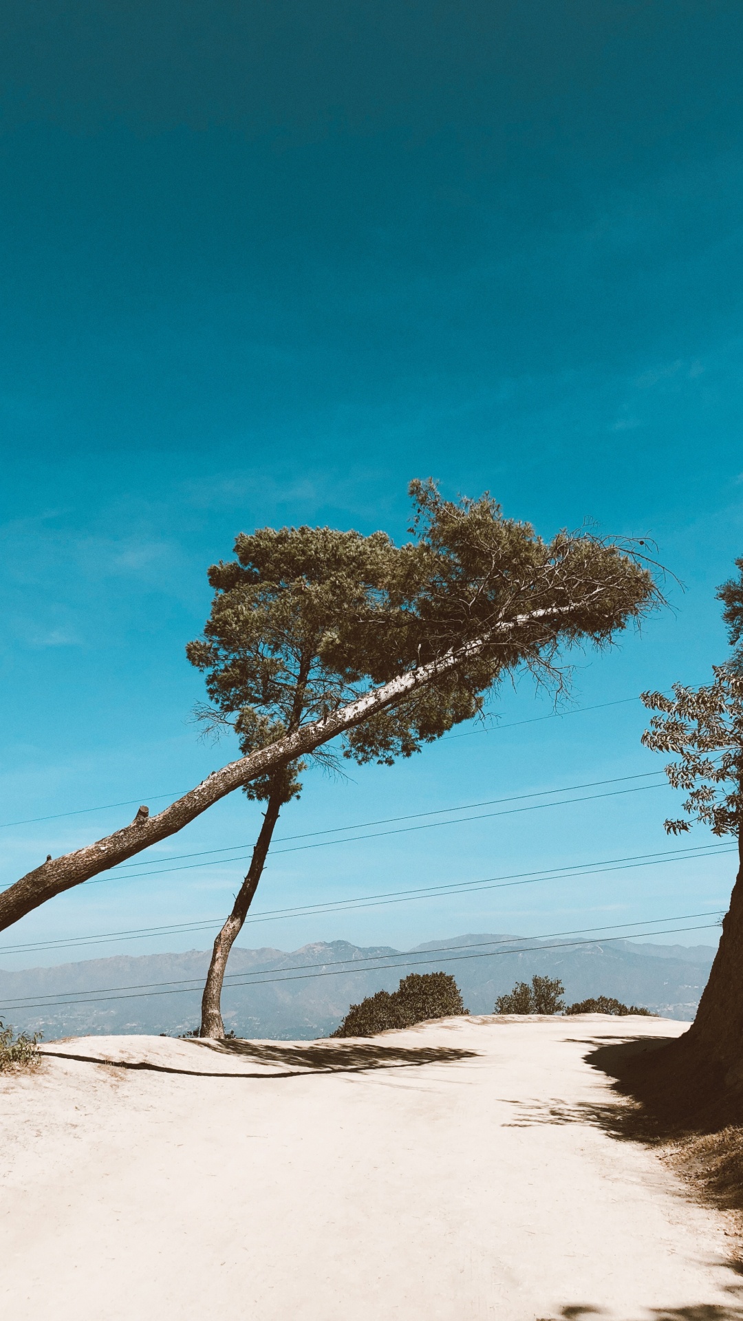 Branch, Holz, Sand, Azure, Stamm. Wallpaper in 1080x1920 Resolution