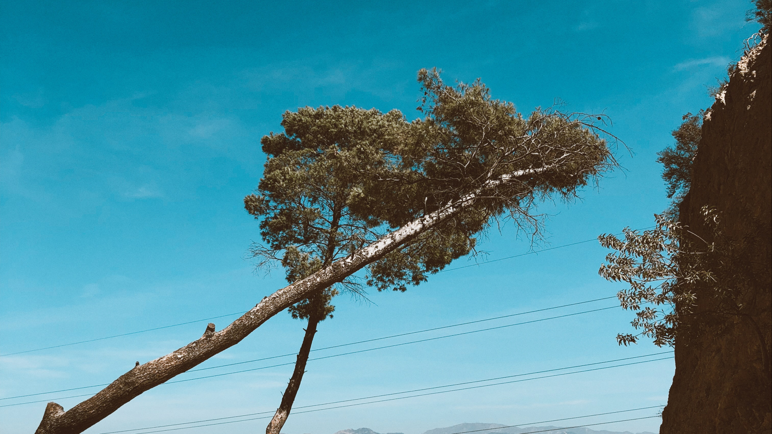 Sucursal, Madera, Arena, Azure. Wallpaper in 2560x1440 Resolution