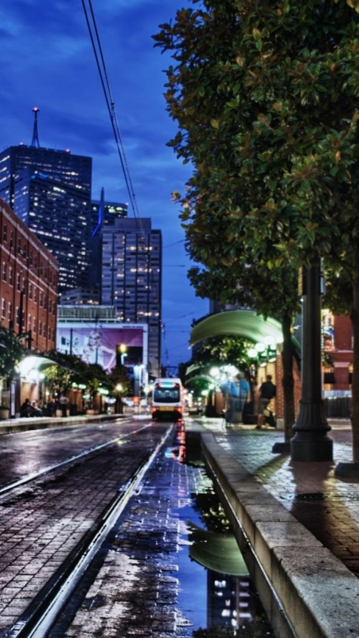 Green Trees Near Train Rail During Night Time. Wallpaper in 720x1280 Resolution