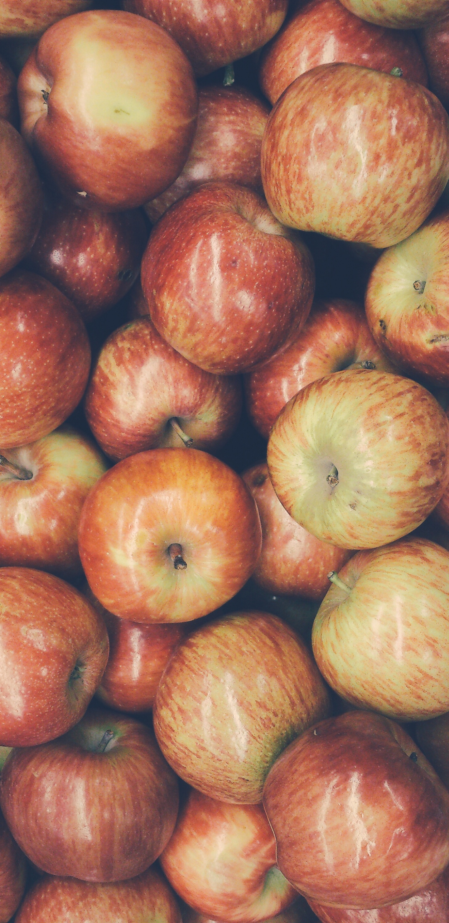 Fruits Ronds Rouges Sur Une Table en Bois Marron. Wallpaper in 1440x2960 Resolution