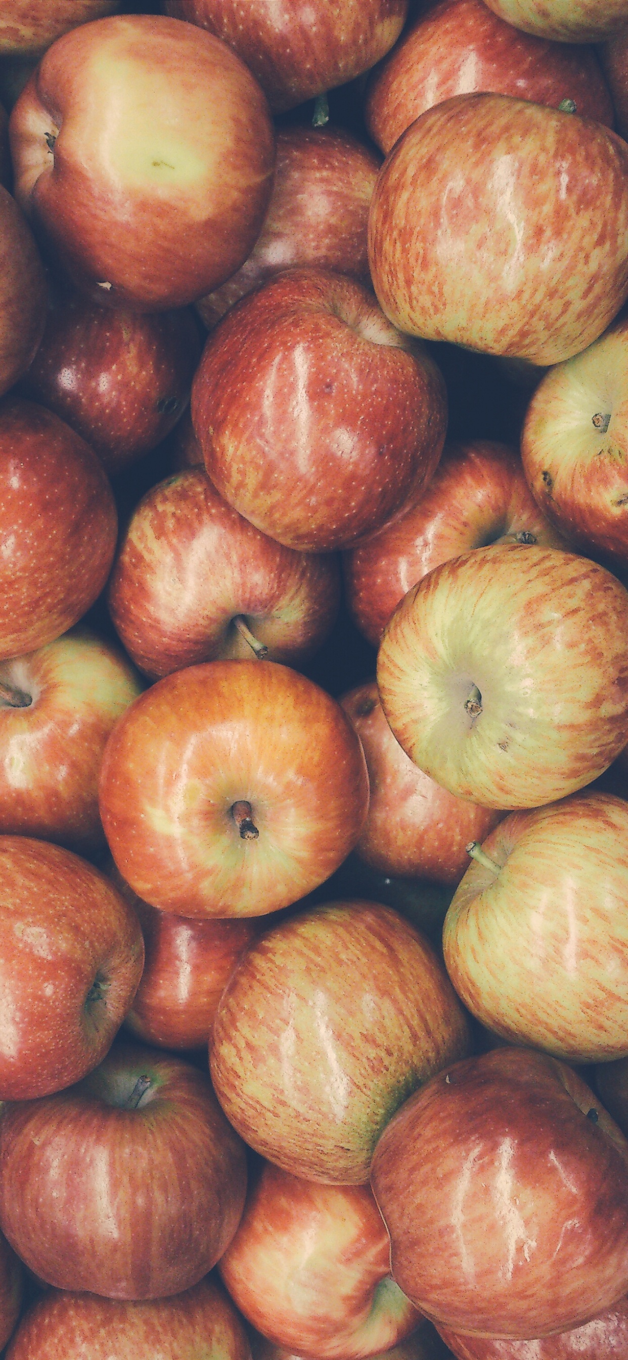 Red Round Fruit on Brown Wooden Table. Wallpaper in 1242x2688 Resolution