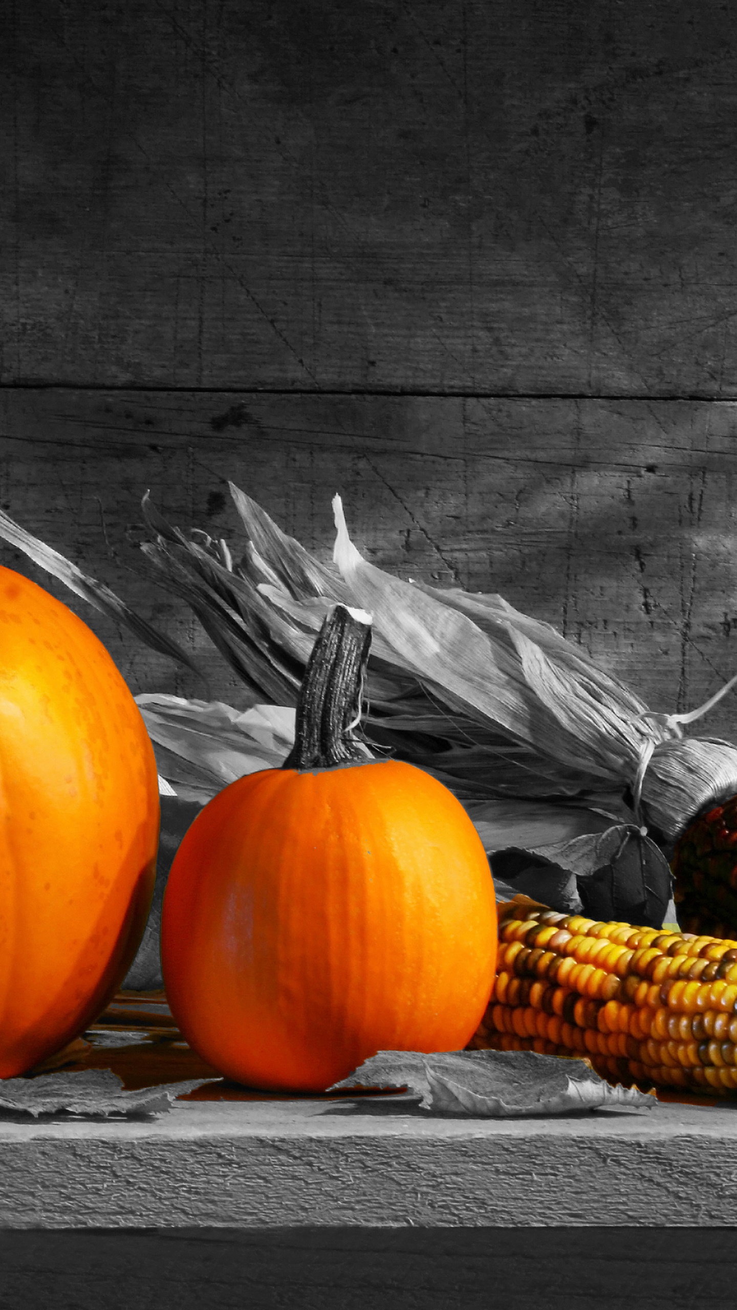 Stilleben, Kürbis, Illustration, Winter Squash, Cucurbita. Wallpaper in 1440x2560 Resolution