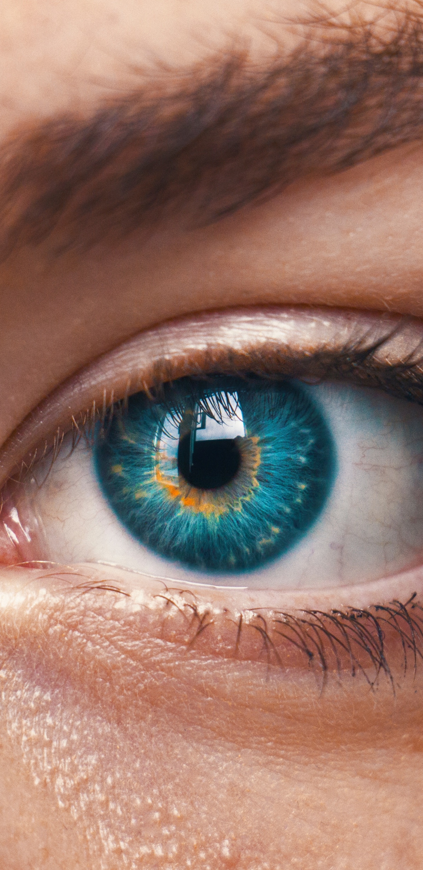 Personen Blaue Augen in Nahaufnahmen. Wallpaper in 1440x2960 Resolution