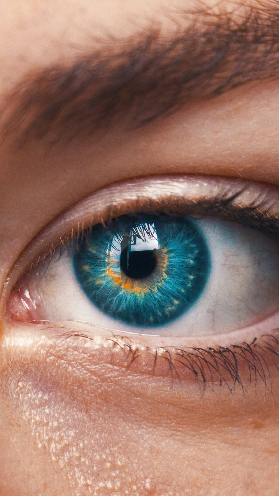 Persons Blue Eyes in Close up Photography. Wallpaper in 1080x1920 Resolution