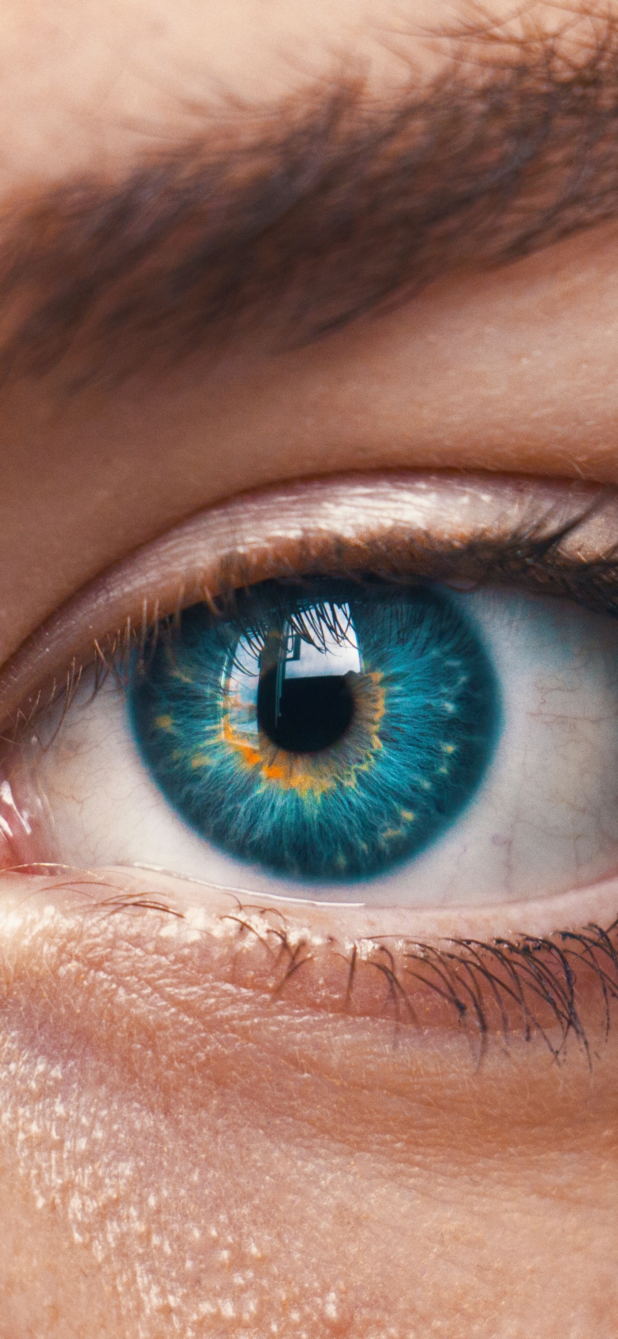 Persons Blue Eyes in Close up Photography. Wallpaper in 1242x2688 Resolution