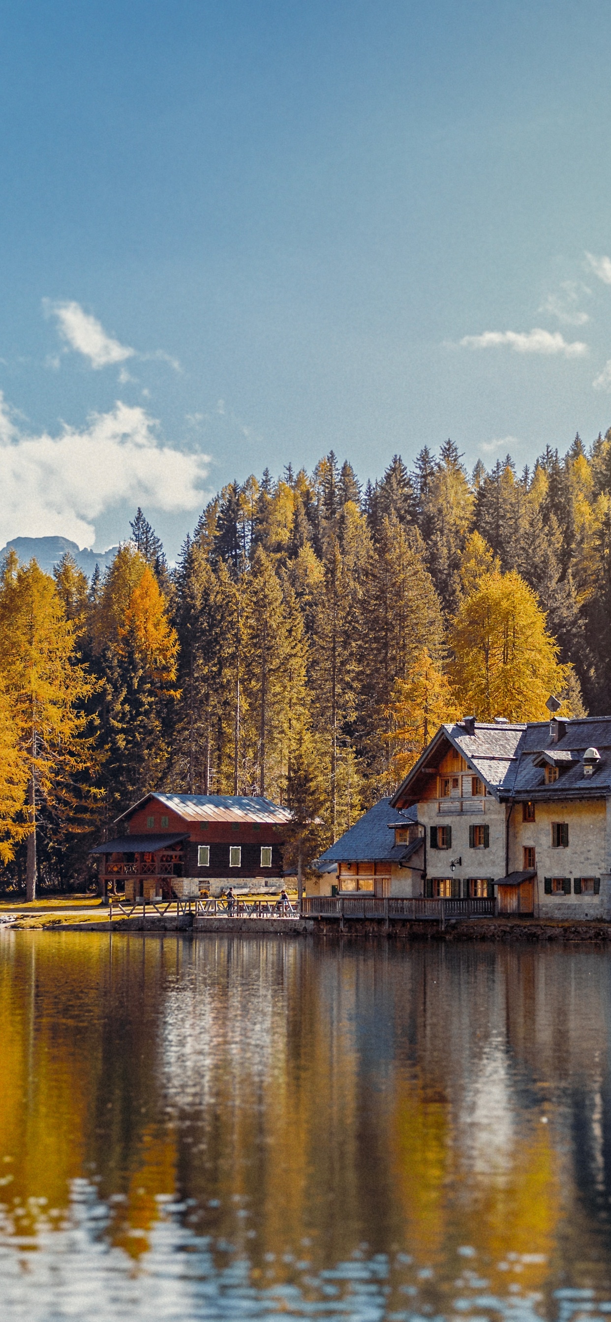 Mountain Lake Cabin, Cottage, Vacation Rental, Rent, Cabin Rentals. Wallpaper in 1242x2688 Resolution