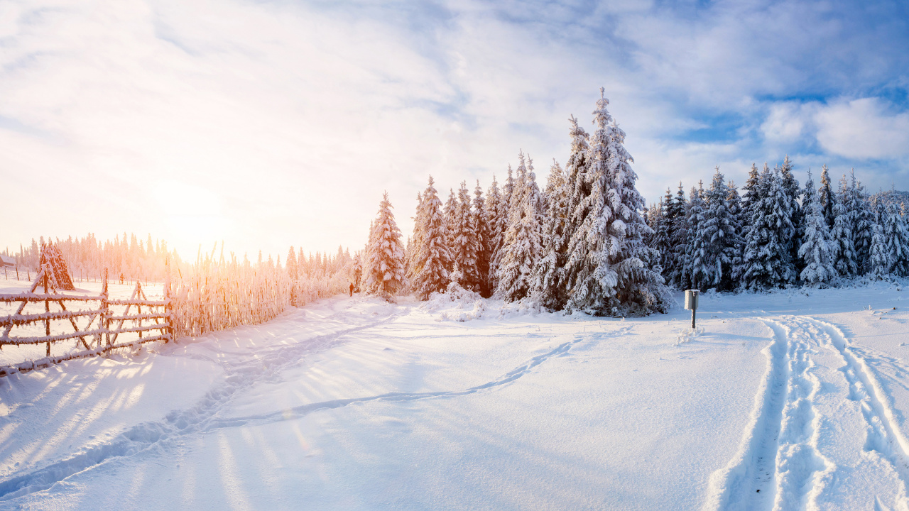 Schneebedeckte Bäume Unter Weißen Wolken Tagsüber. Wallpaper in 1280x720 Resolution