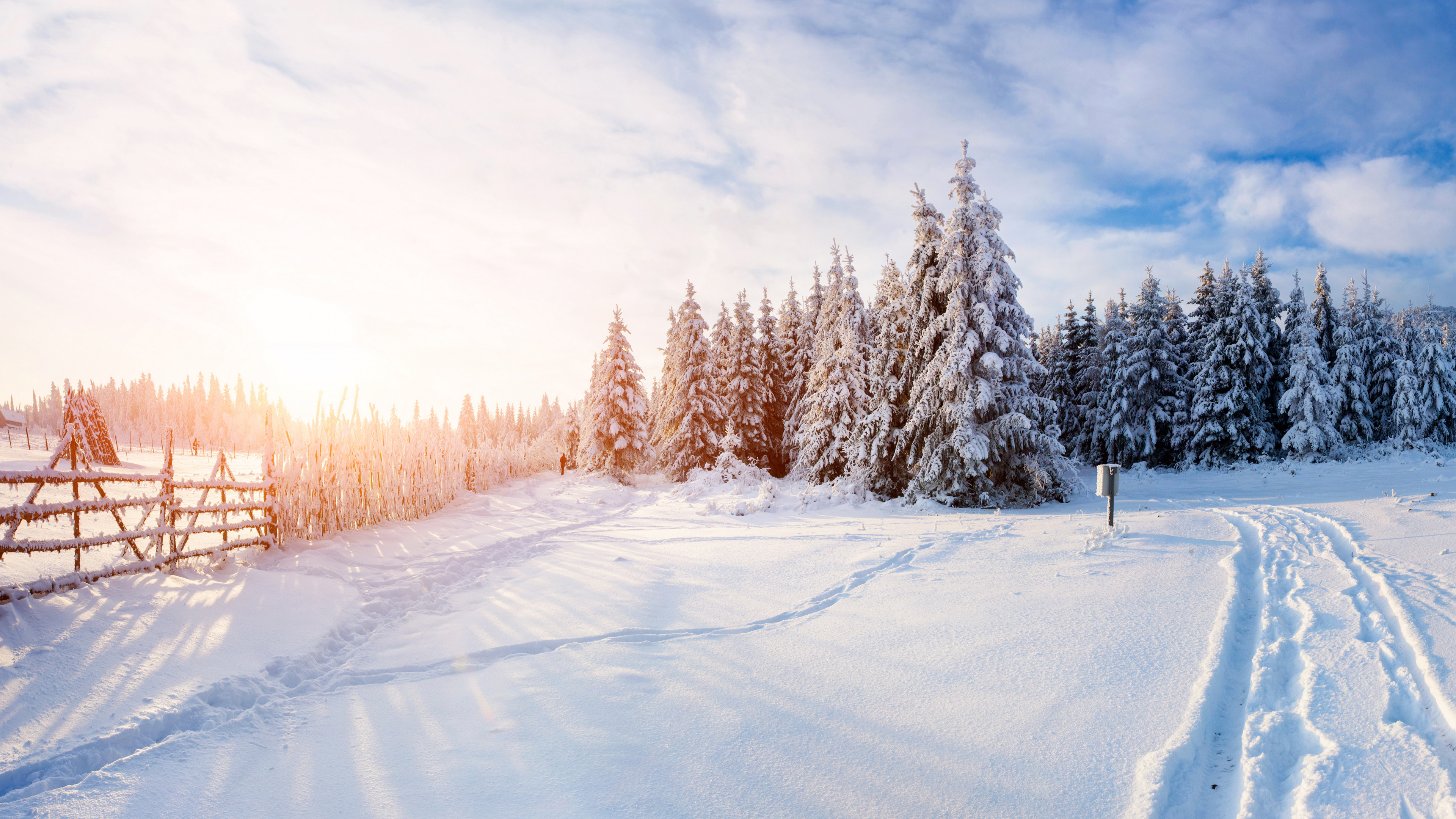 Schneebedeckte Bäume Unter Weißen Wolken Tagsüber. Wallpaper in 3840x2160 Resolution