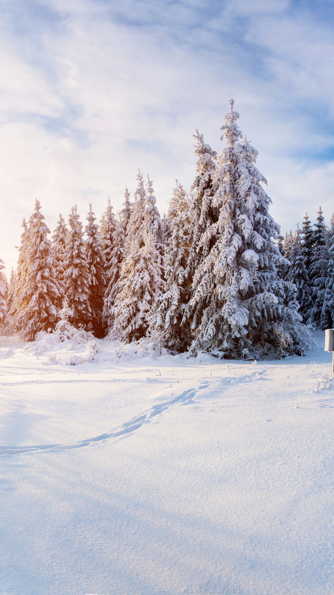 Snow Covered Trees Under White Clouds During Daytime. Wallpaper in 1080x1920 Resolution