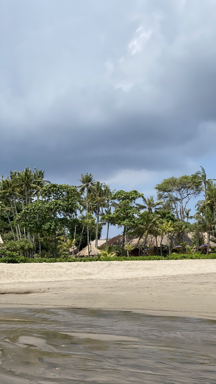 Water, Beach, Sea, Palm Trees, Biology. Wallpaper in 720x1280 Resolution