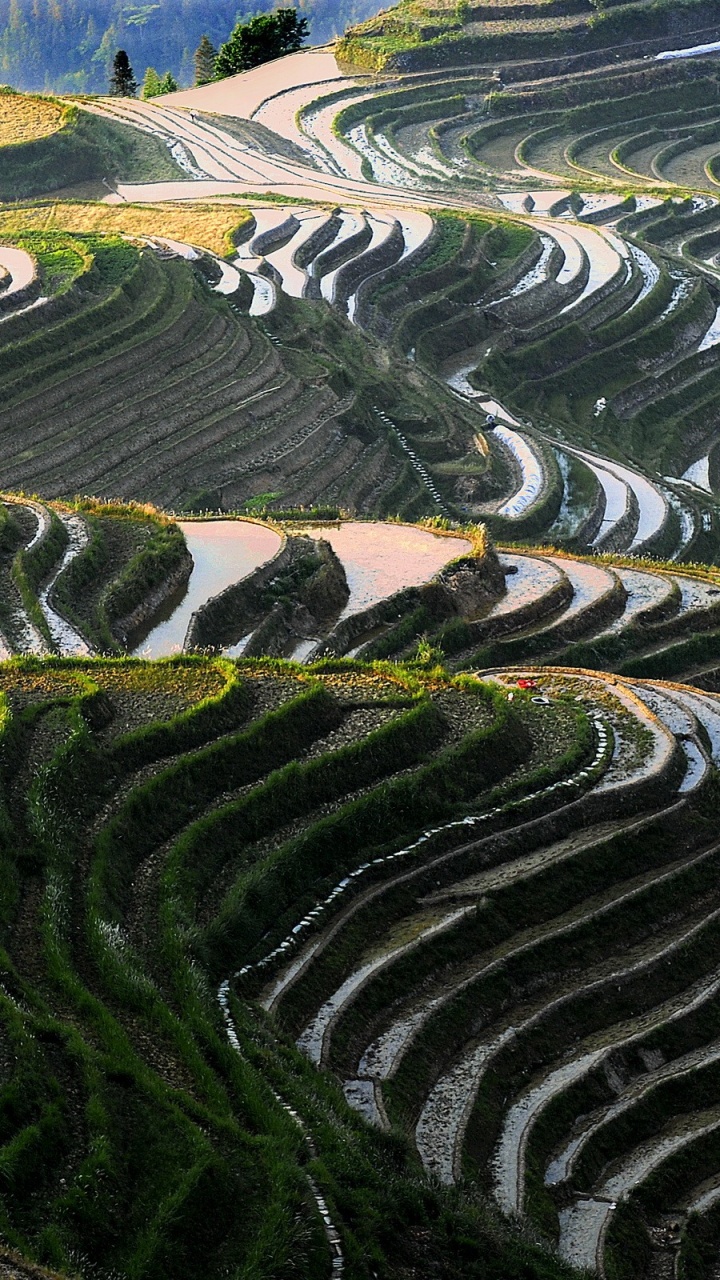 龙胜米的露台, 露台, 马丘比丘, 鸟瞰图, 草 壁纸 720x1280 允许