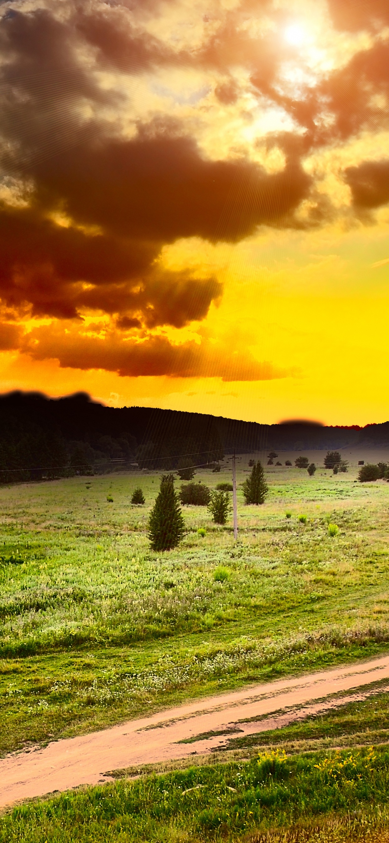 Green Grass Field Under Cloudy Sky During Daytime. Wallpaper in 1242x2688 Resolution
