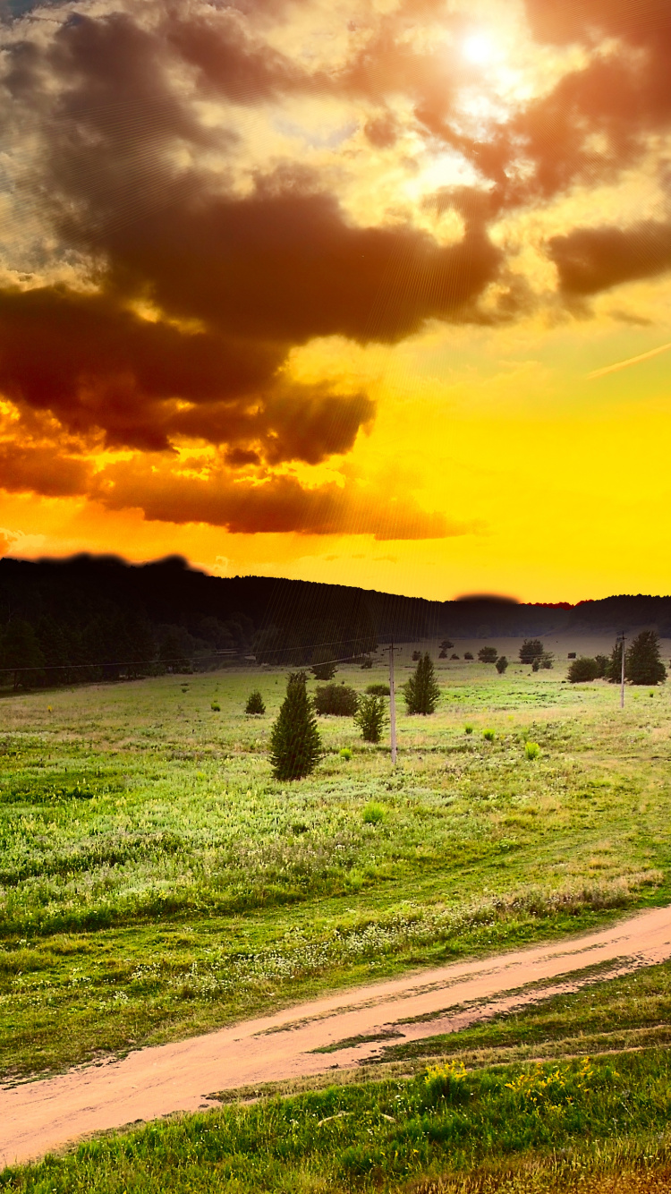 Green Grass Field Under Cloudy Sky During Daytime. Wallpaper in 750x1334 Resolution