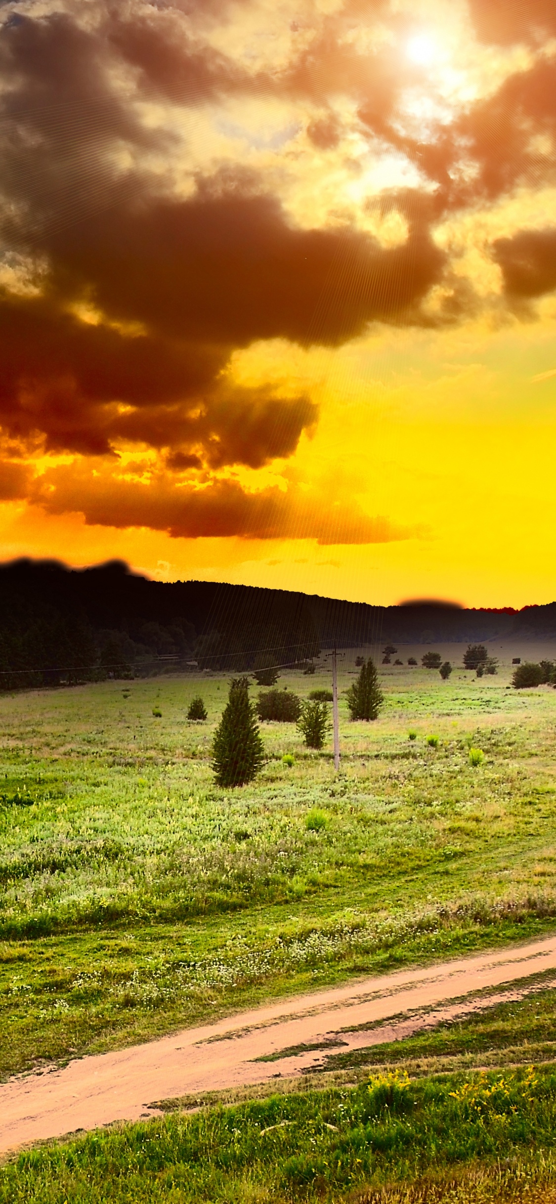 Campo de Hierba Verde Bajo el Cielo Nublado Durante el Día. Wallpaper in 1125x2436 Resolution
