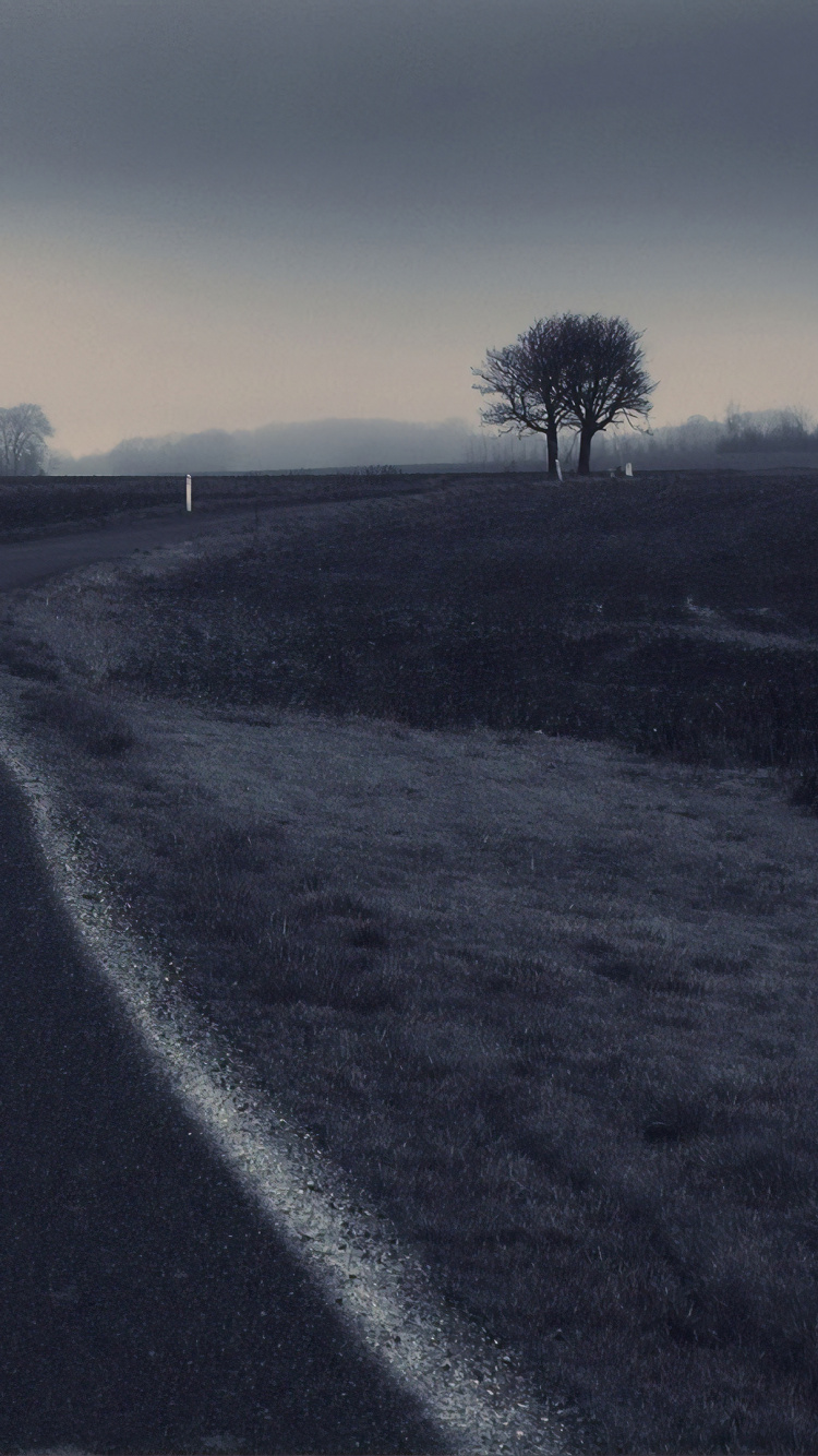 Route, Noir, Horizon, Atmosphère, Matin. Wallpaper in 750x1334 Resolution