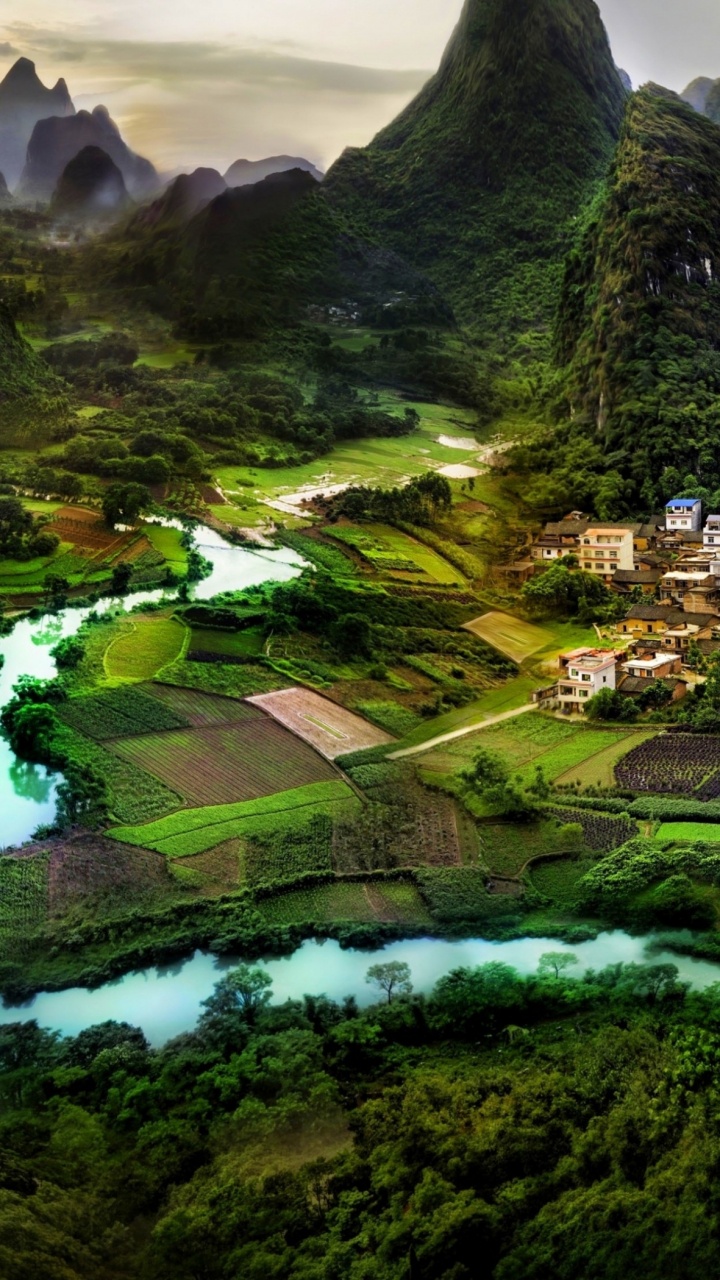 Green Trees and Green Grass Covered Mountain. Wallpaper in 720x1280 Resolution