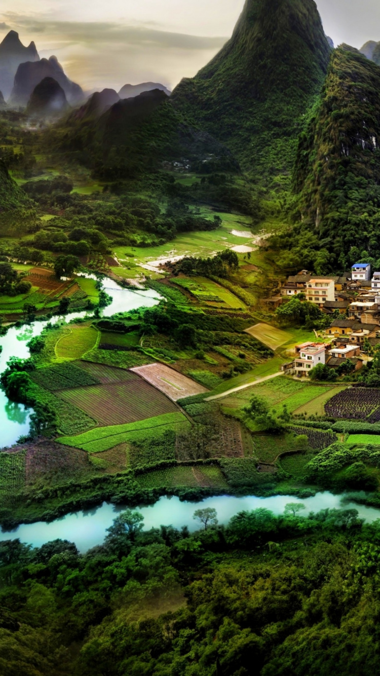 Green Trees and Green Grass Covered Mountain. Wallpaper in 750x1334 Resolution