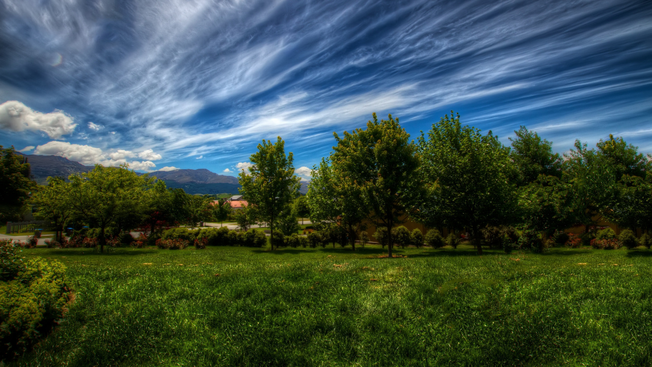 Champ D'herbe Verte Avec Des Arbres Sous Ciel Bleu et Nuages Blancs Pendant la Journée. Wallpaper in 1280x720 Resolution