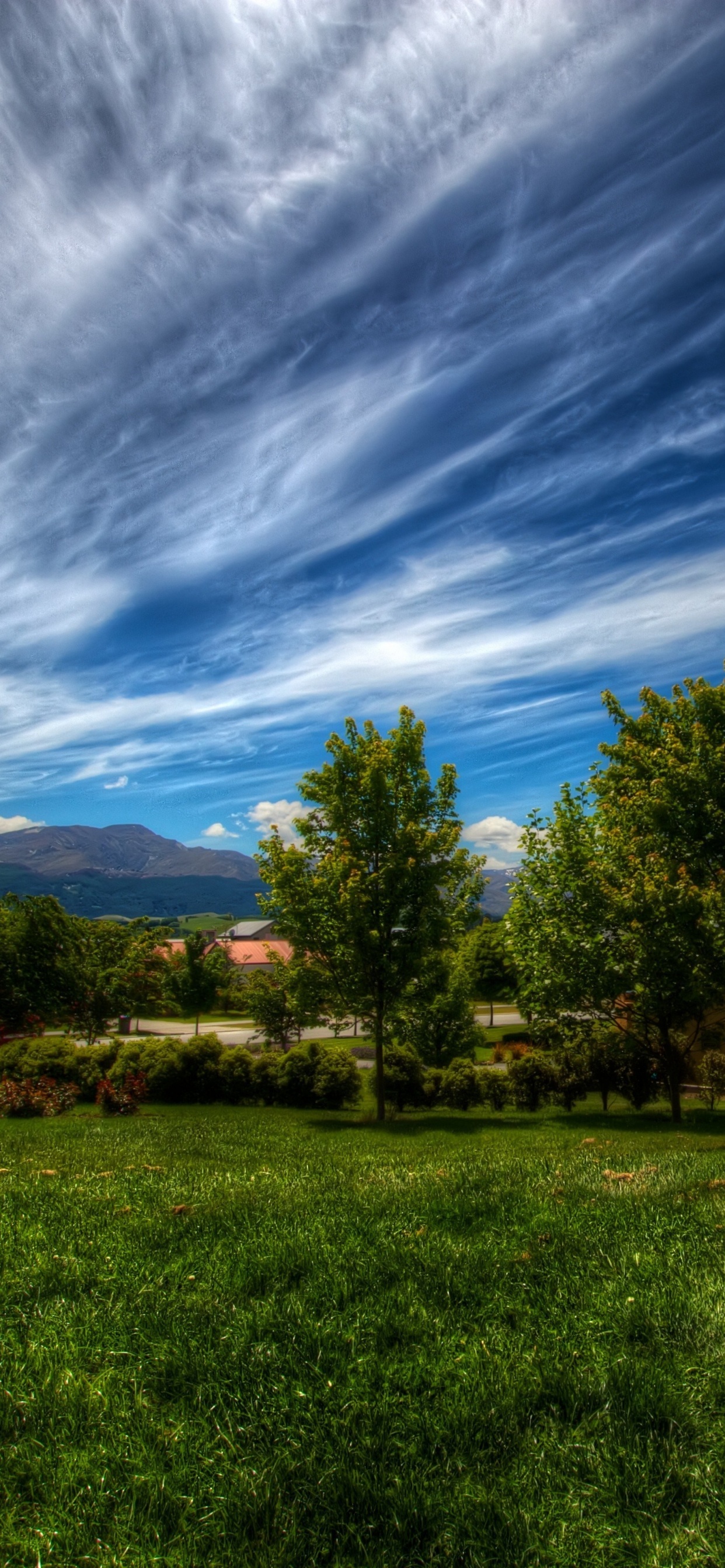 Green Grass Field With Trees Under Blue Sky and White Clouds During Daytime. Wallpaper in 1242x2688 Resolution