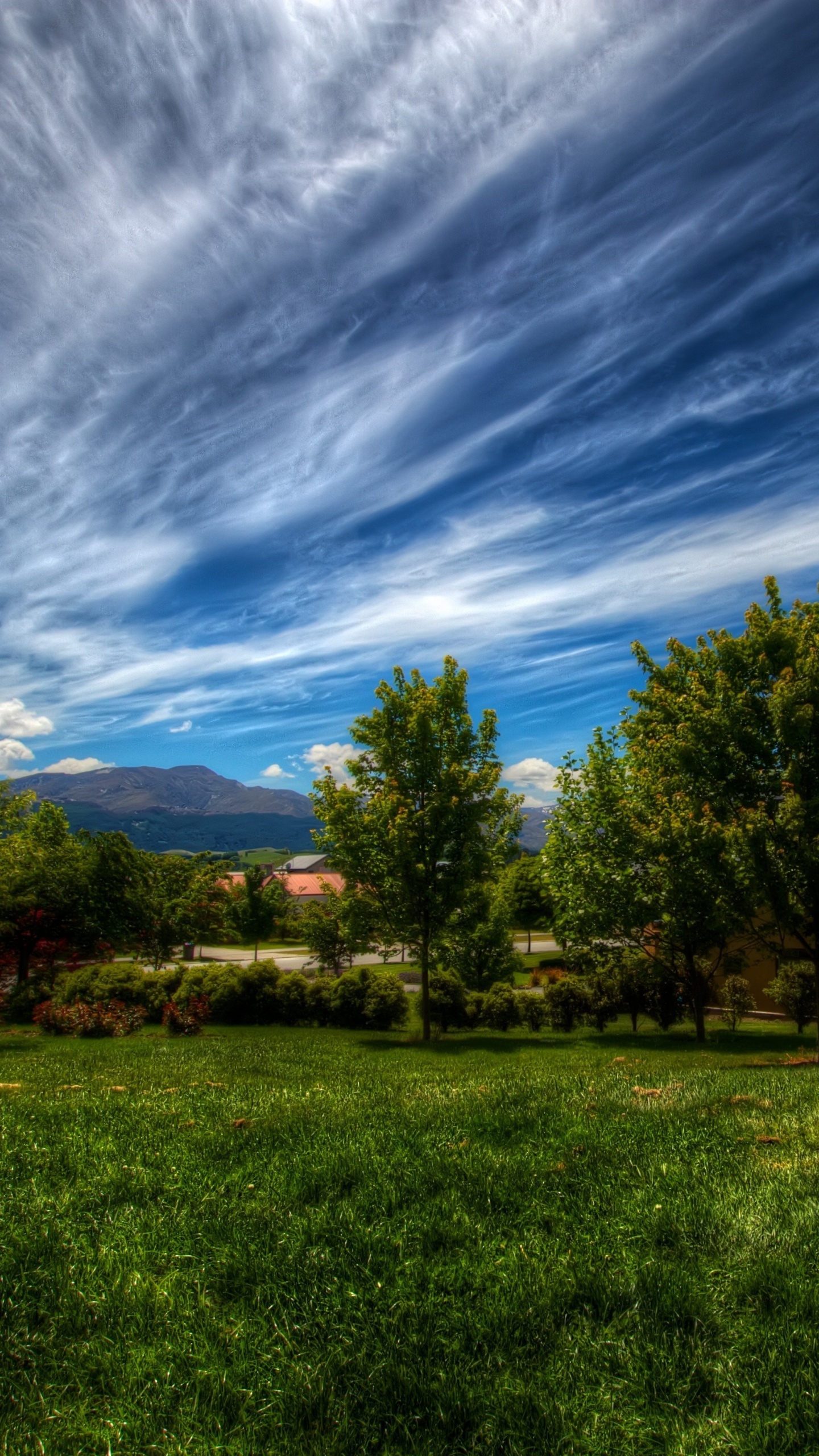 Green Grass Field With Trees Under Blue Sky and White Clouds During Daytime. Wallpaper in 1440x2560 Resolution